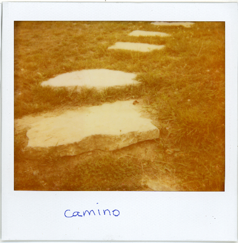 camino2.jpg