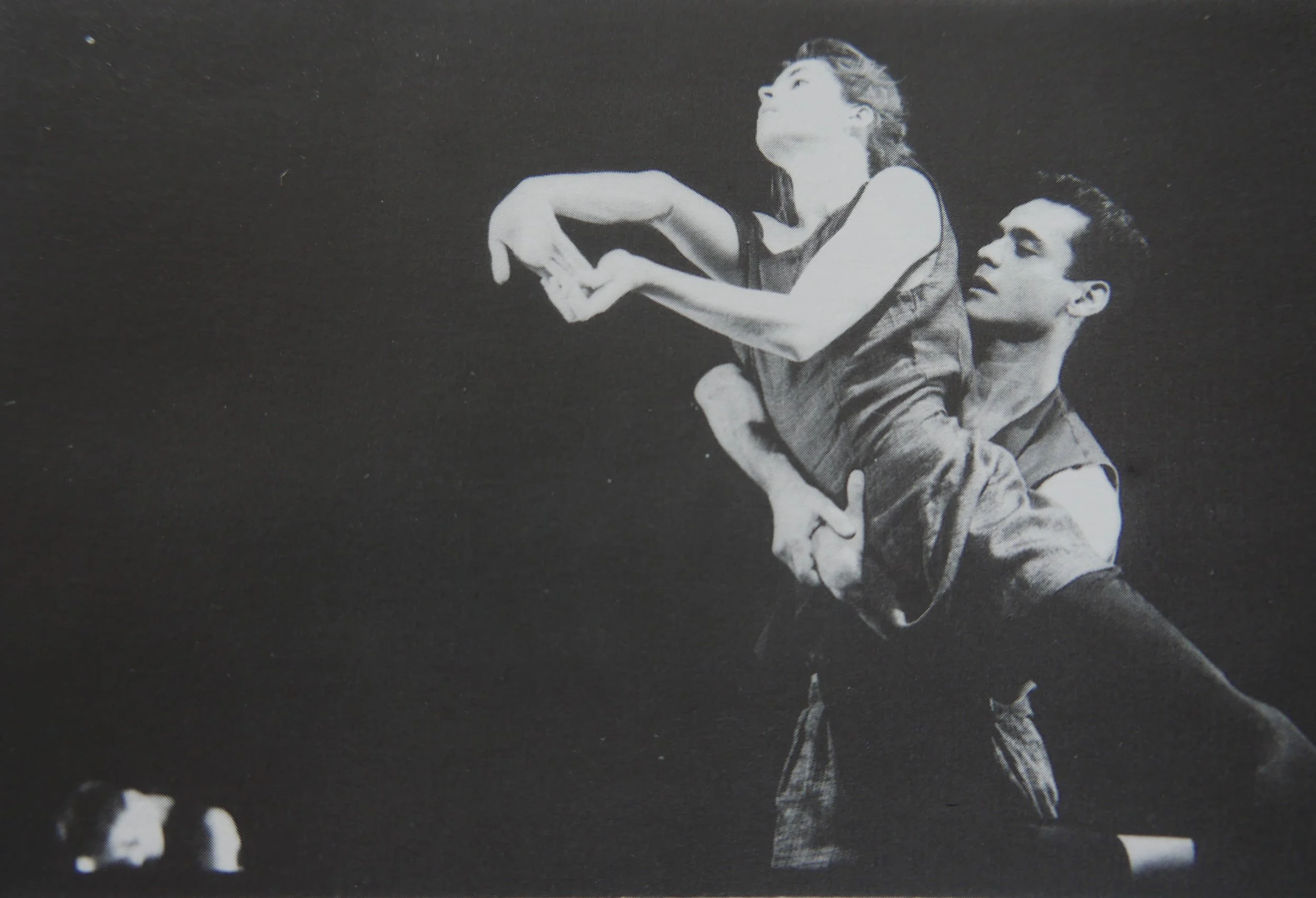 P1040680.jpg
