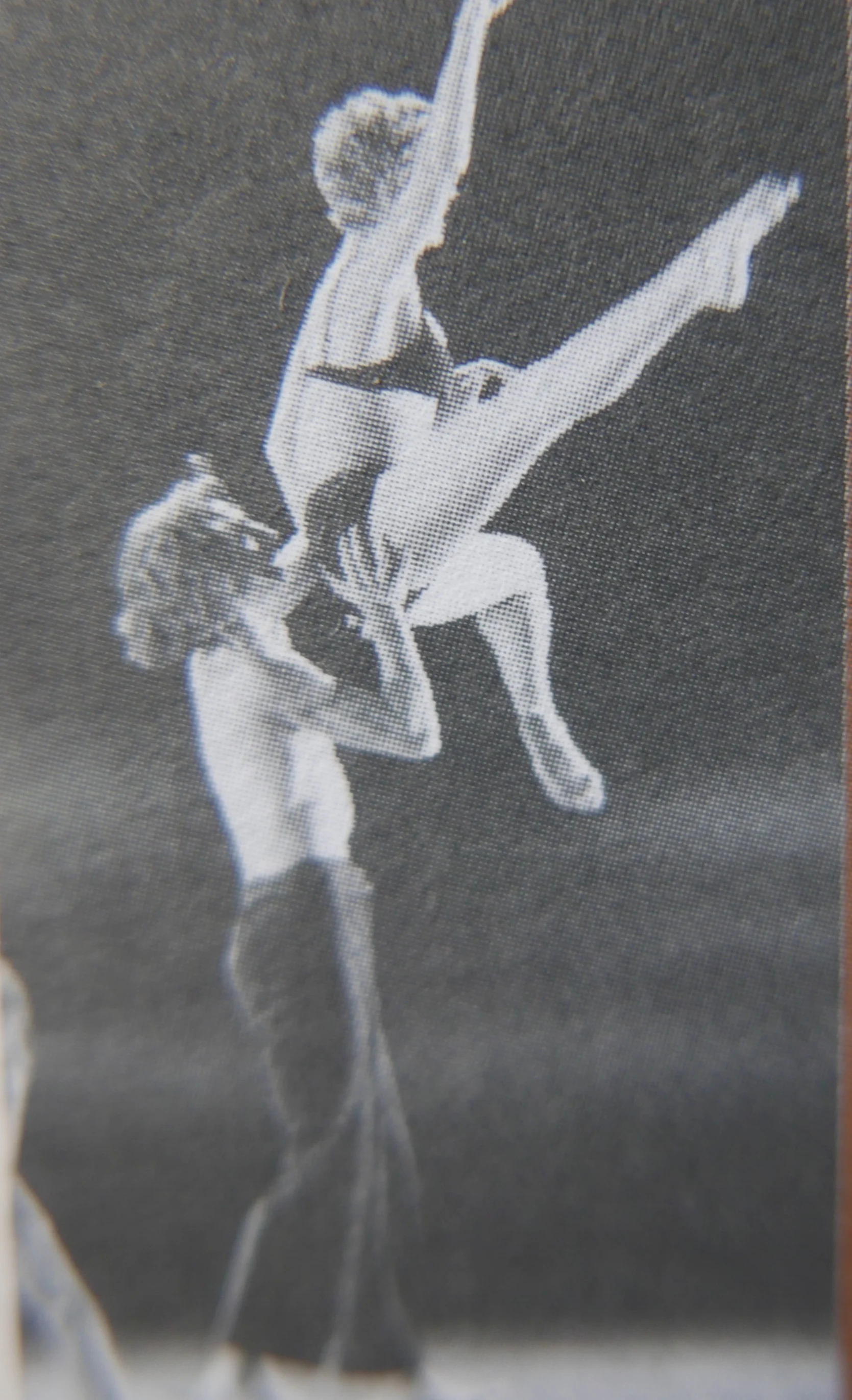 P1040673.jpg