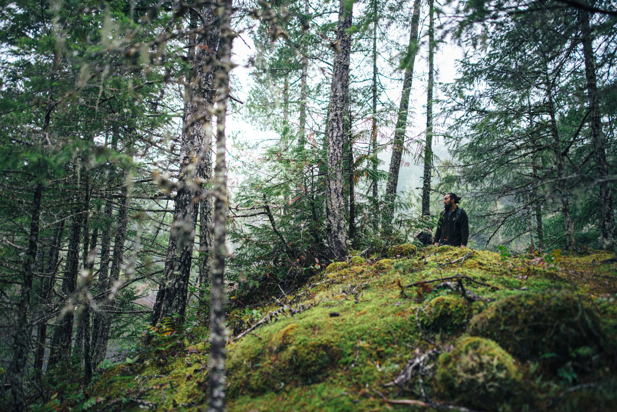 Participants of the Mycoblitz wandered through the local forests to collect fungi of all kinds.