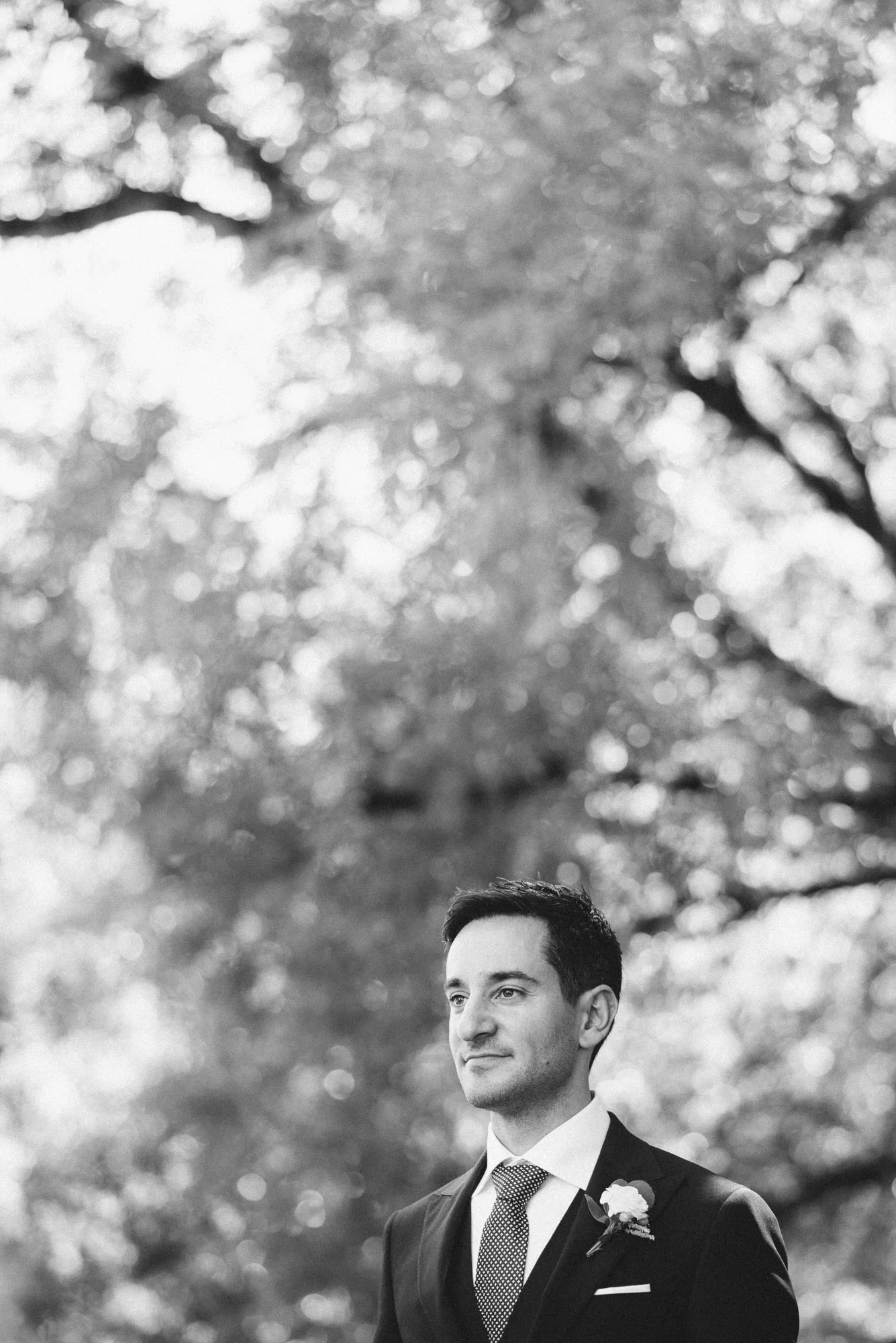 Groom at the park