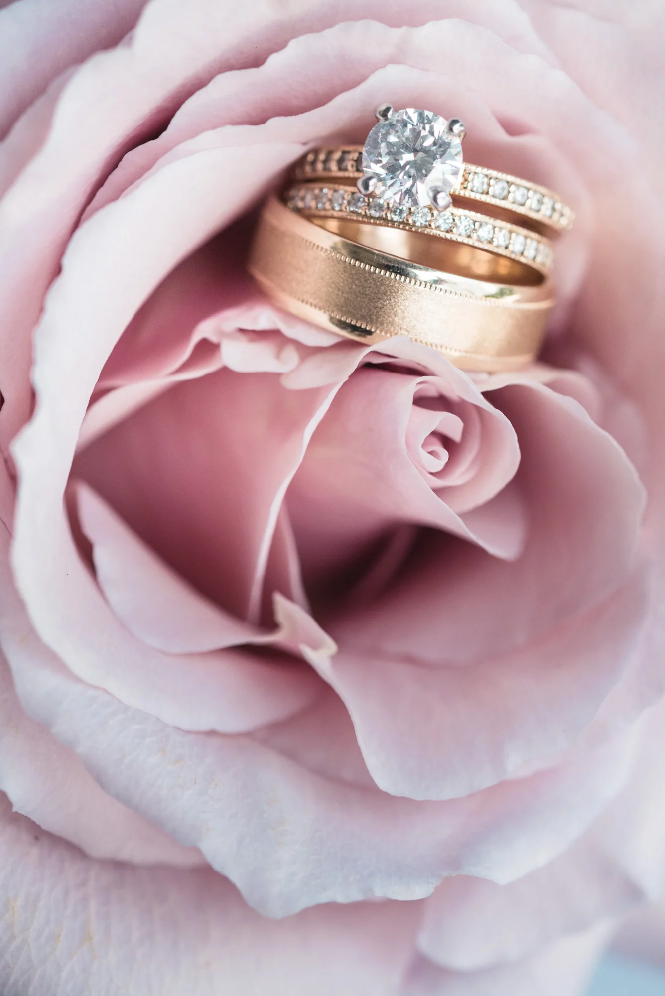 Ring details in flower
