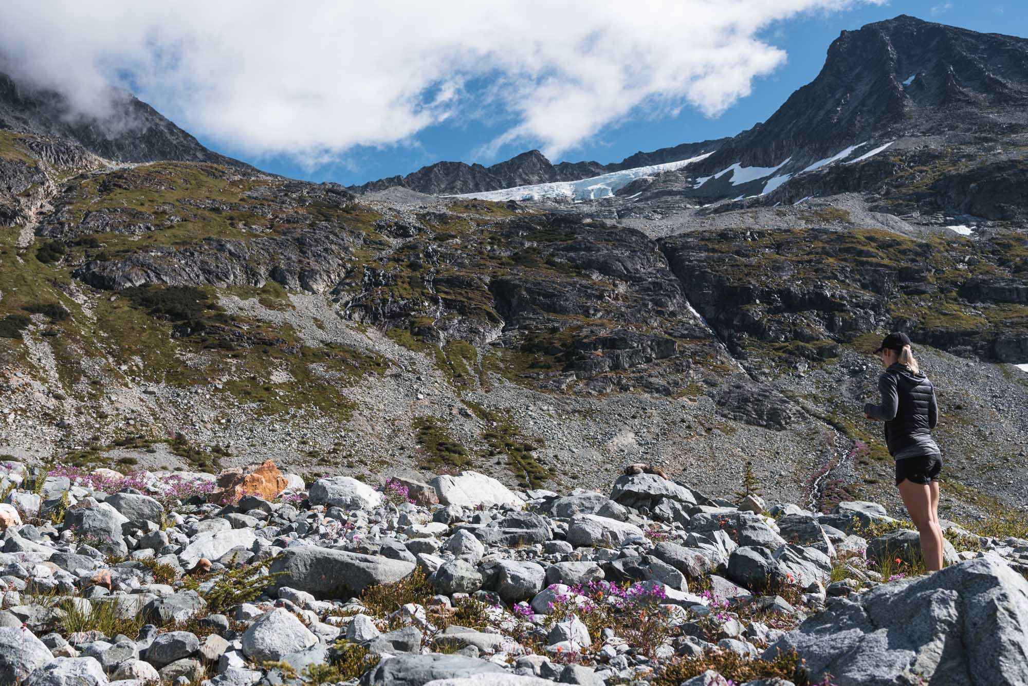 Wedgemount Lake surprise proposal