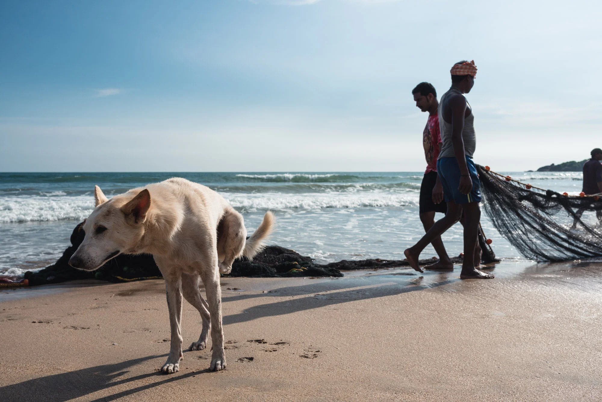 Dog and fisherman at Palolem Beach, Goa