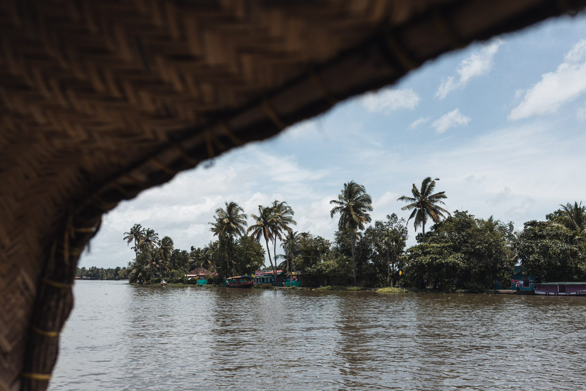 Alleppey Backwaters houseboat cruise