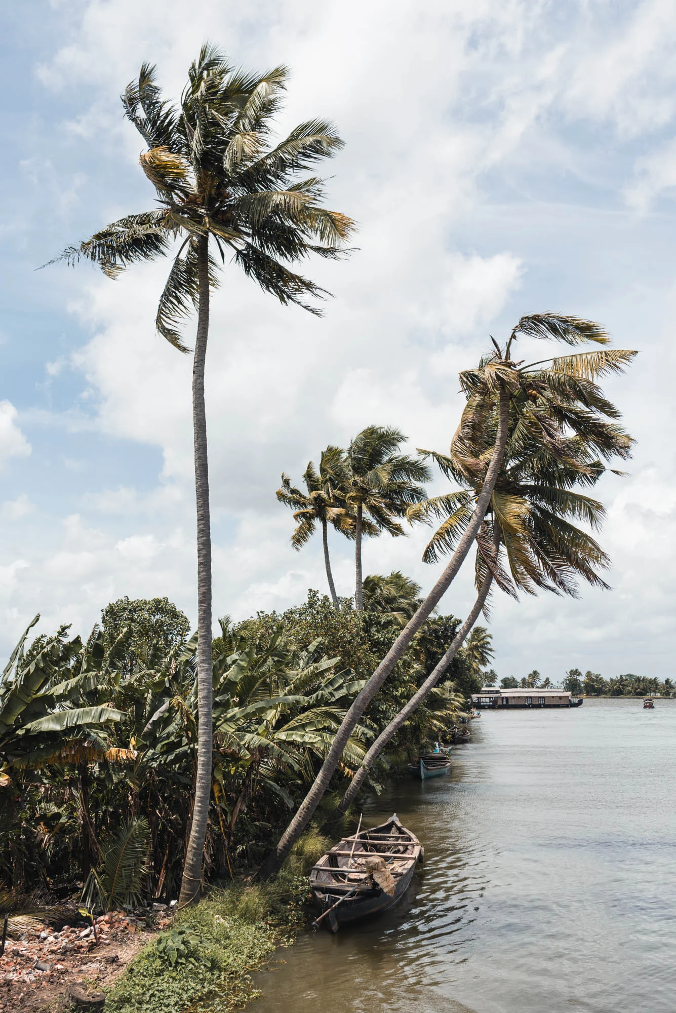 Palms at Alleppey Backwaters houseboat cruise