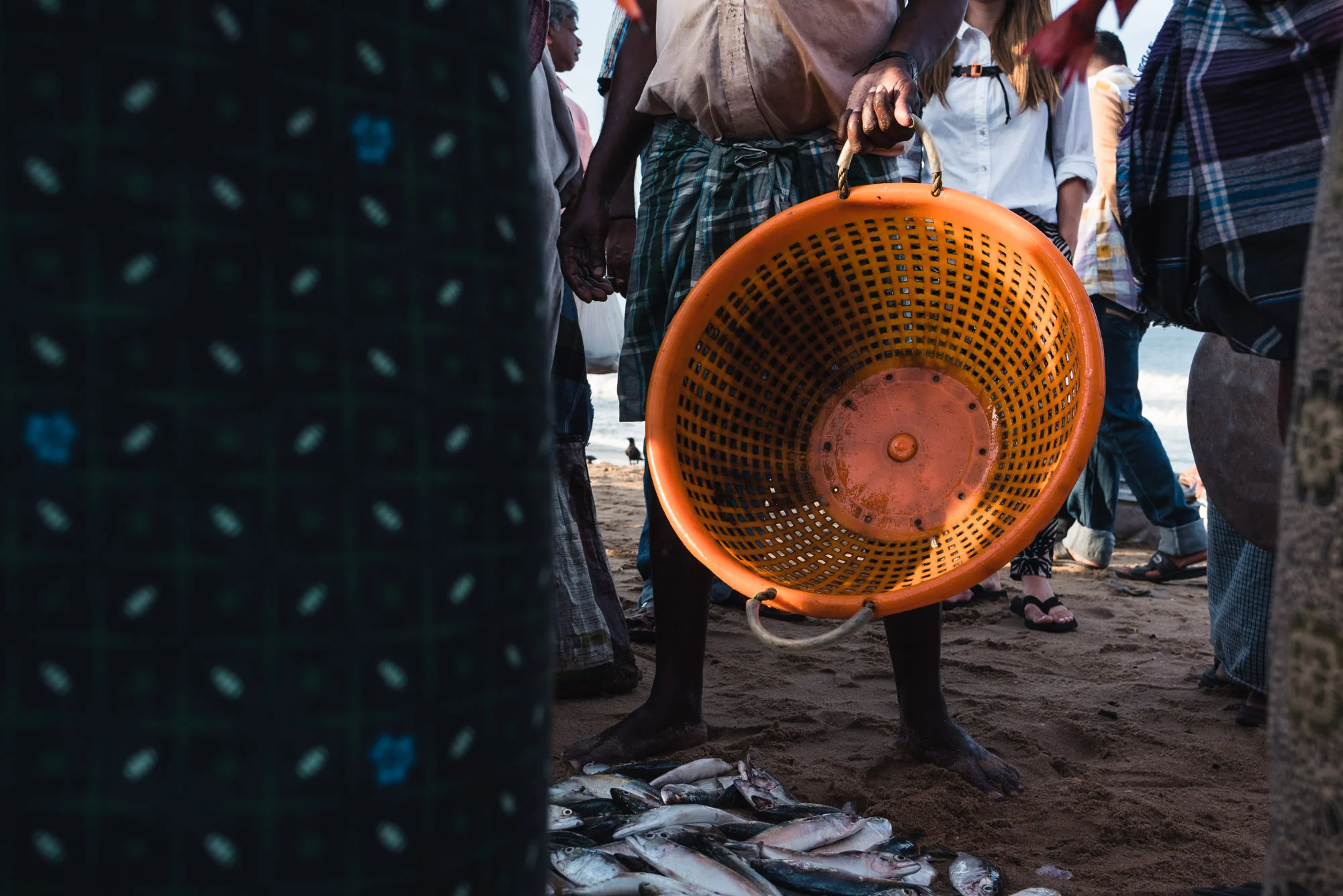 Fish for sale at Christian Fishing Village, Varkala