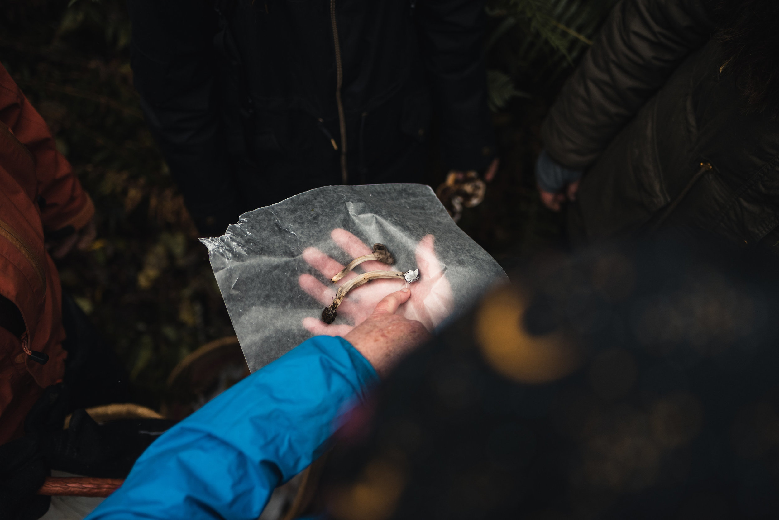 Andy MacKinnon with Helvella vespertina