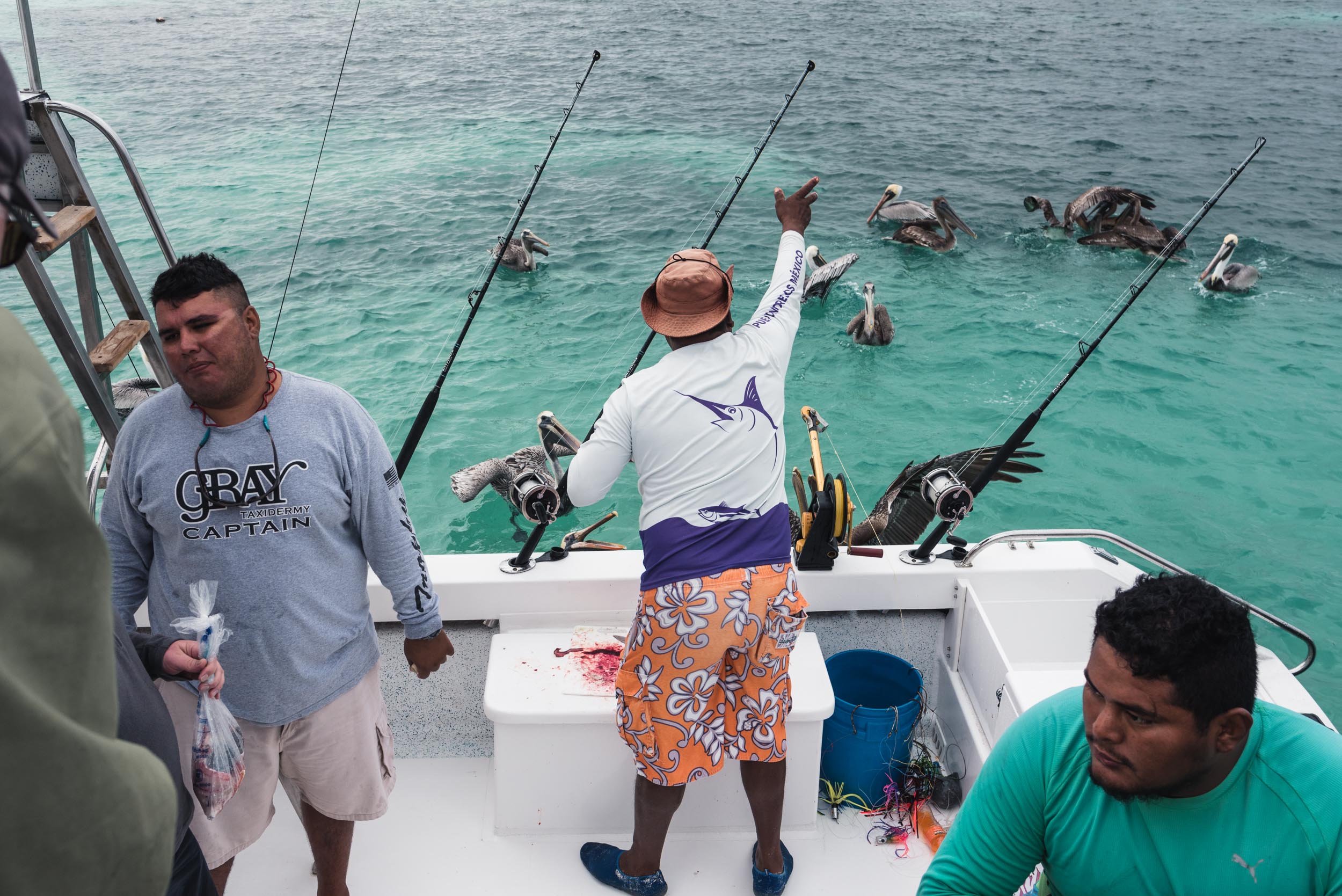 Fisherman on fishing boat