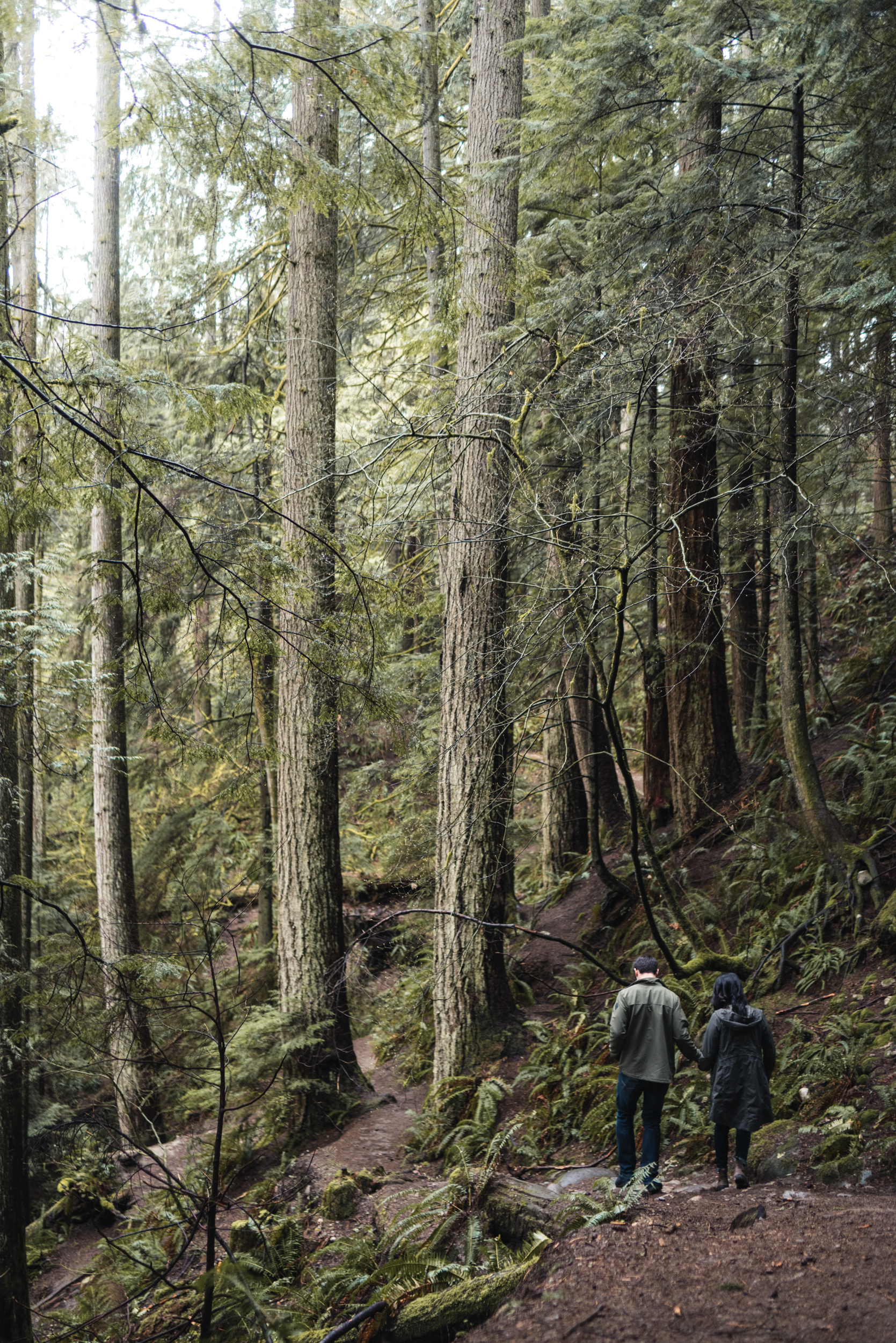 Couple walking through forest trail