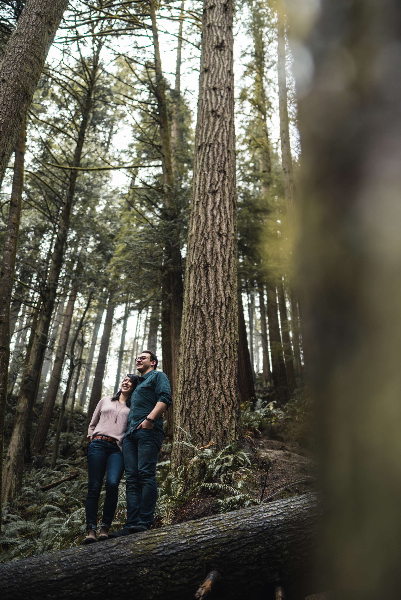Couple standing on tree in forest