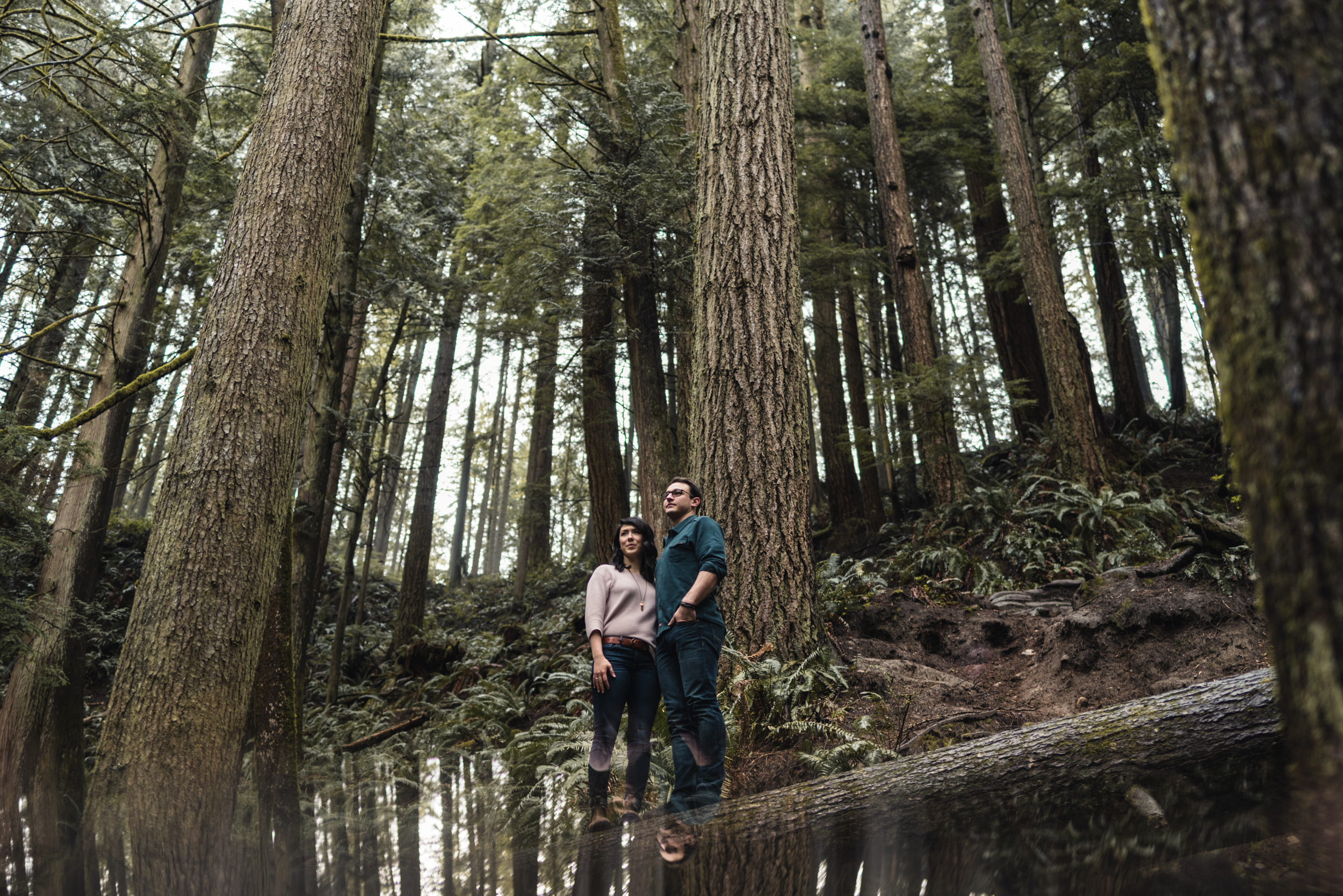 Couple standing on tree in forest