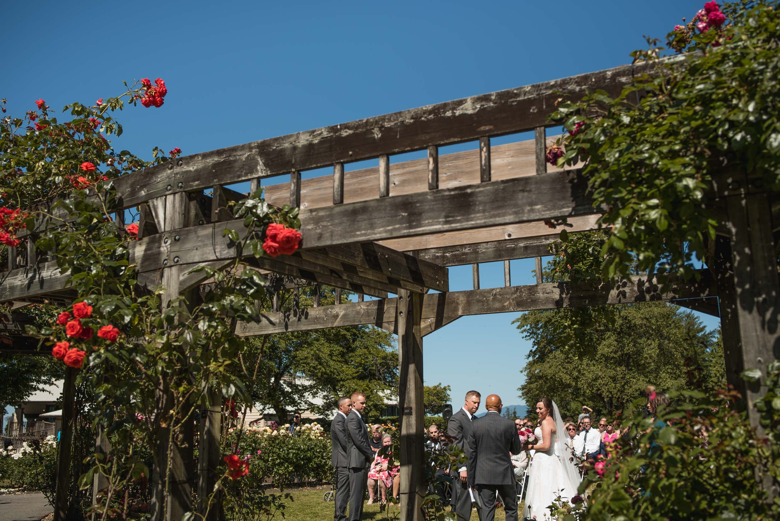 Wedding ceremony in rose garden