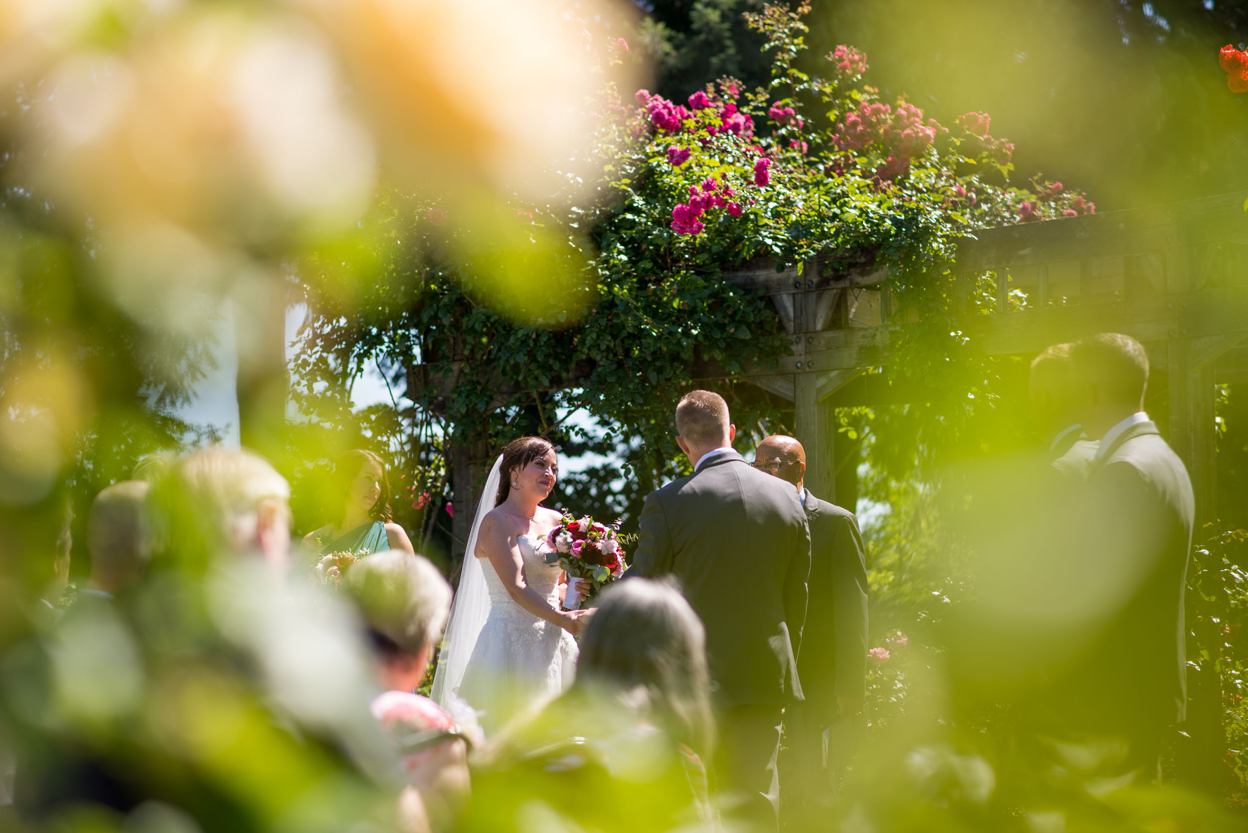 Wedding ceremony in rose garden