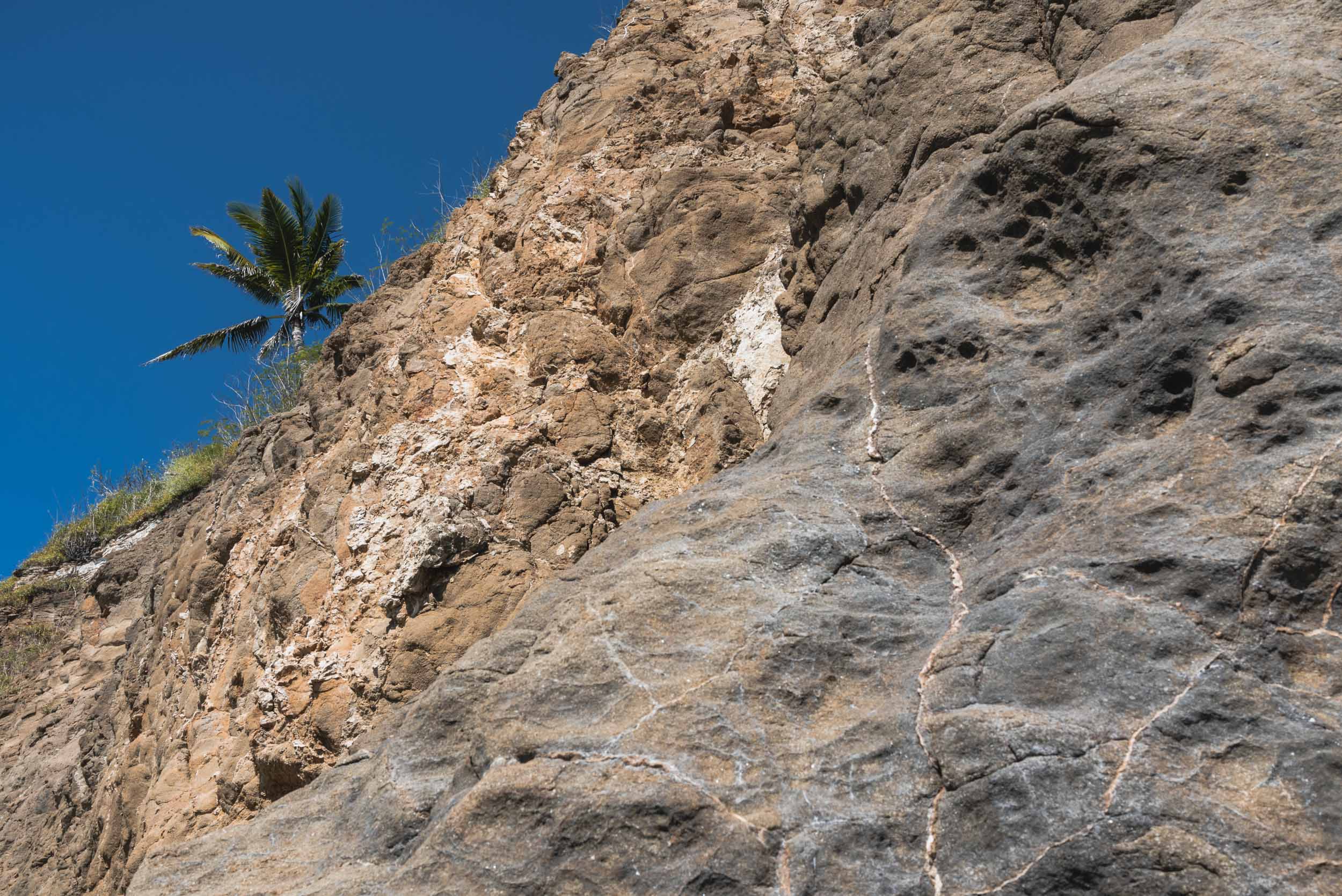 Riviera Nayarit cliff with palm tree