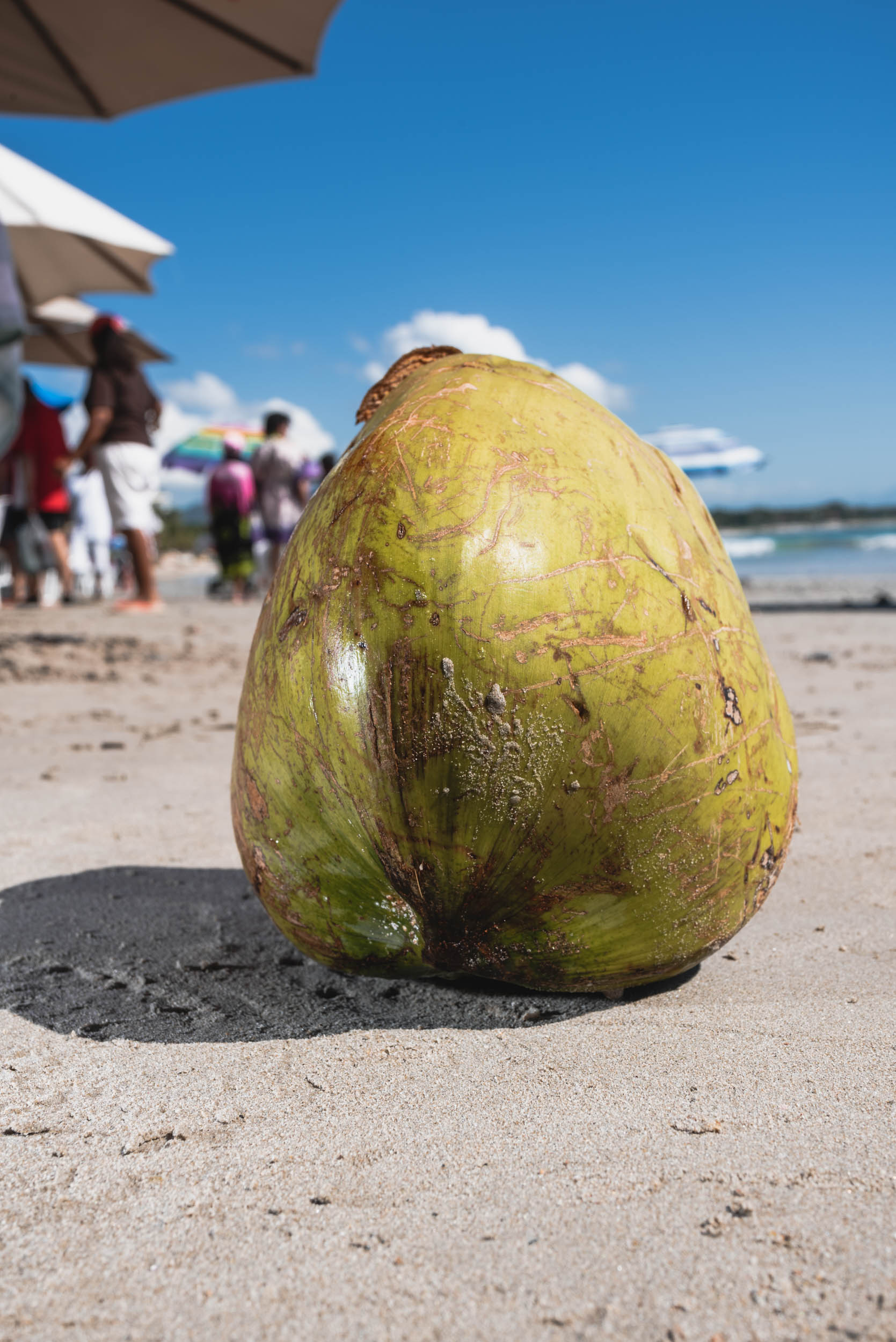 Punta Mita green coconut on beach