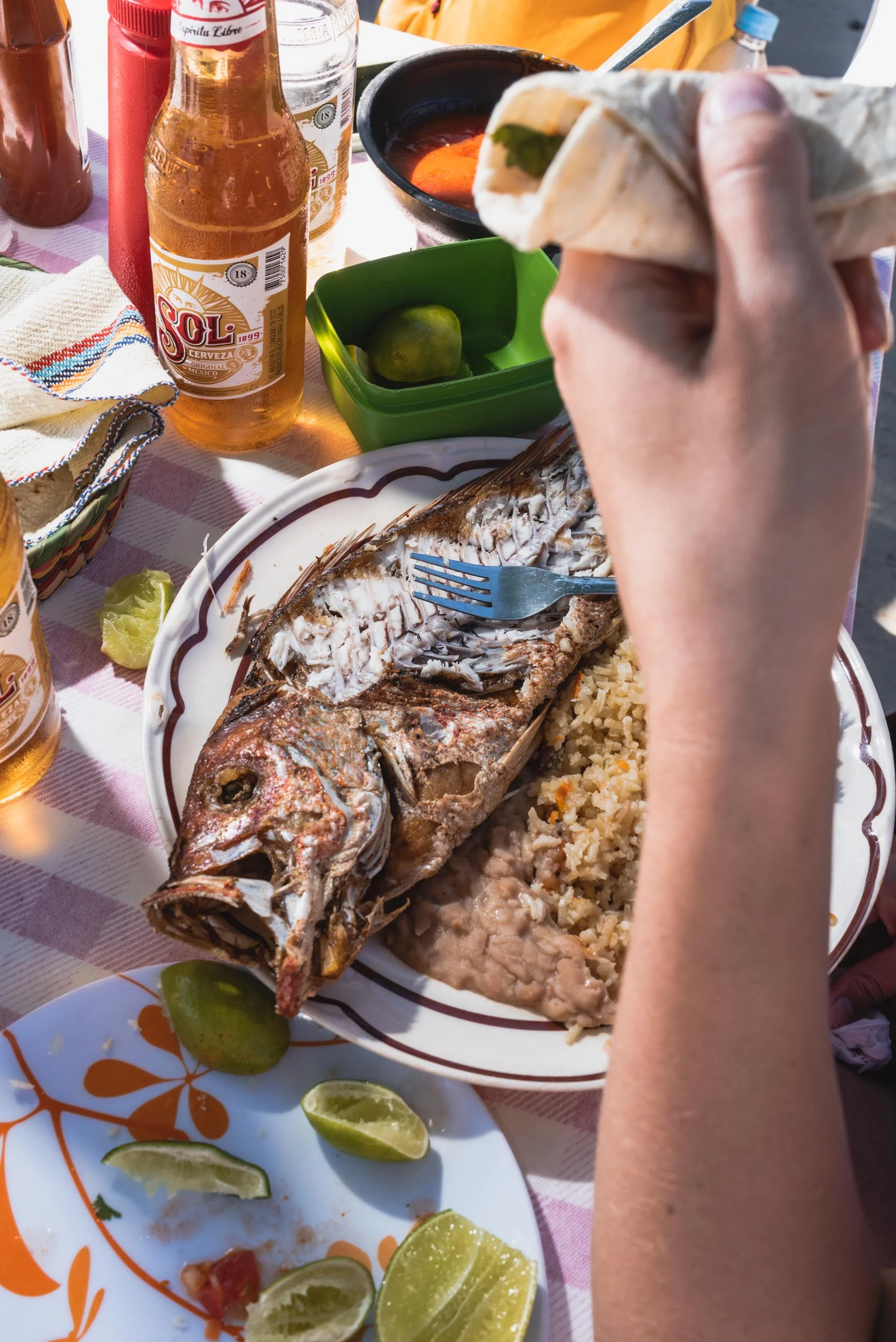 Punta Mita deep fried fish meal
