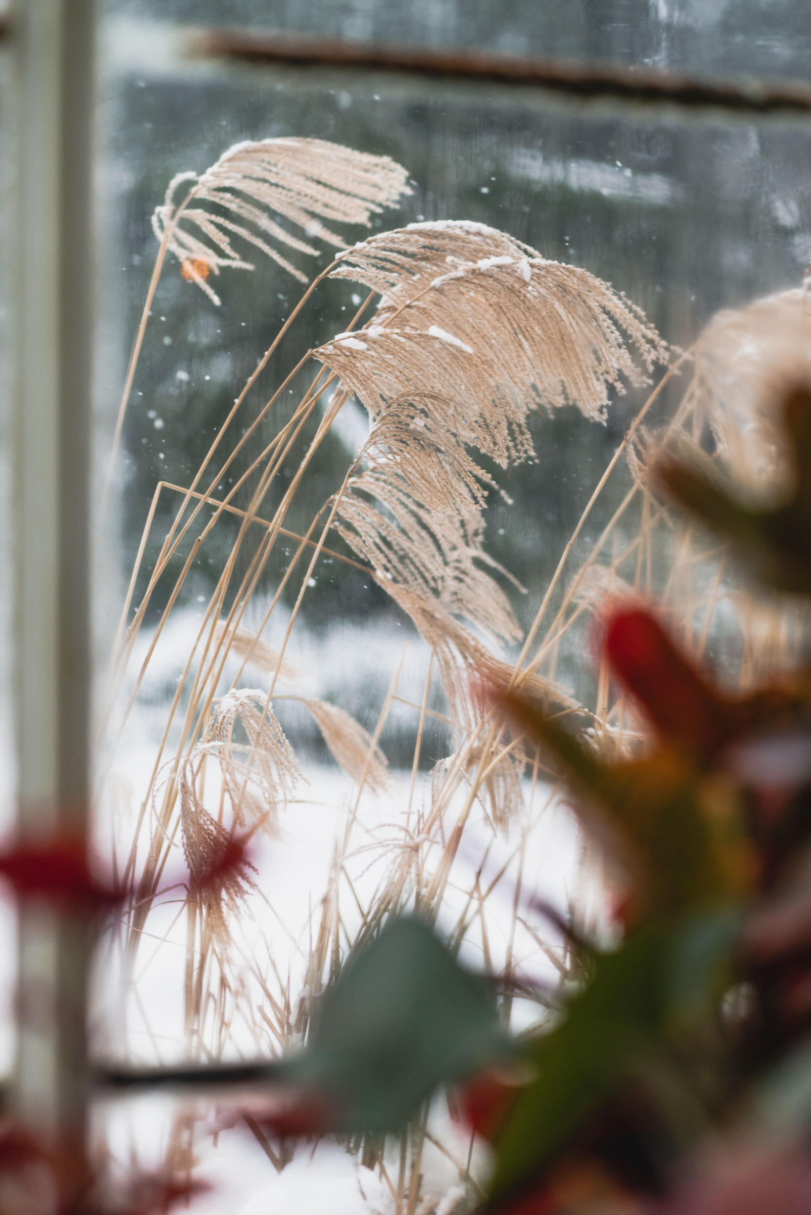 Snowy weather through conservatory window