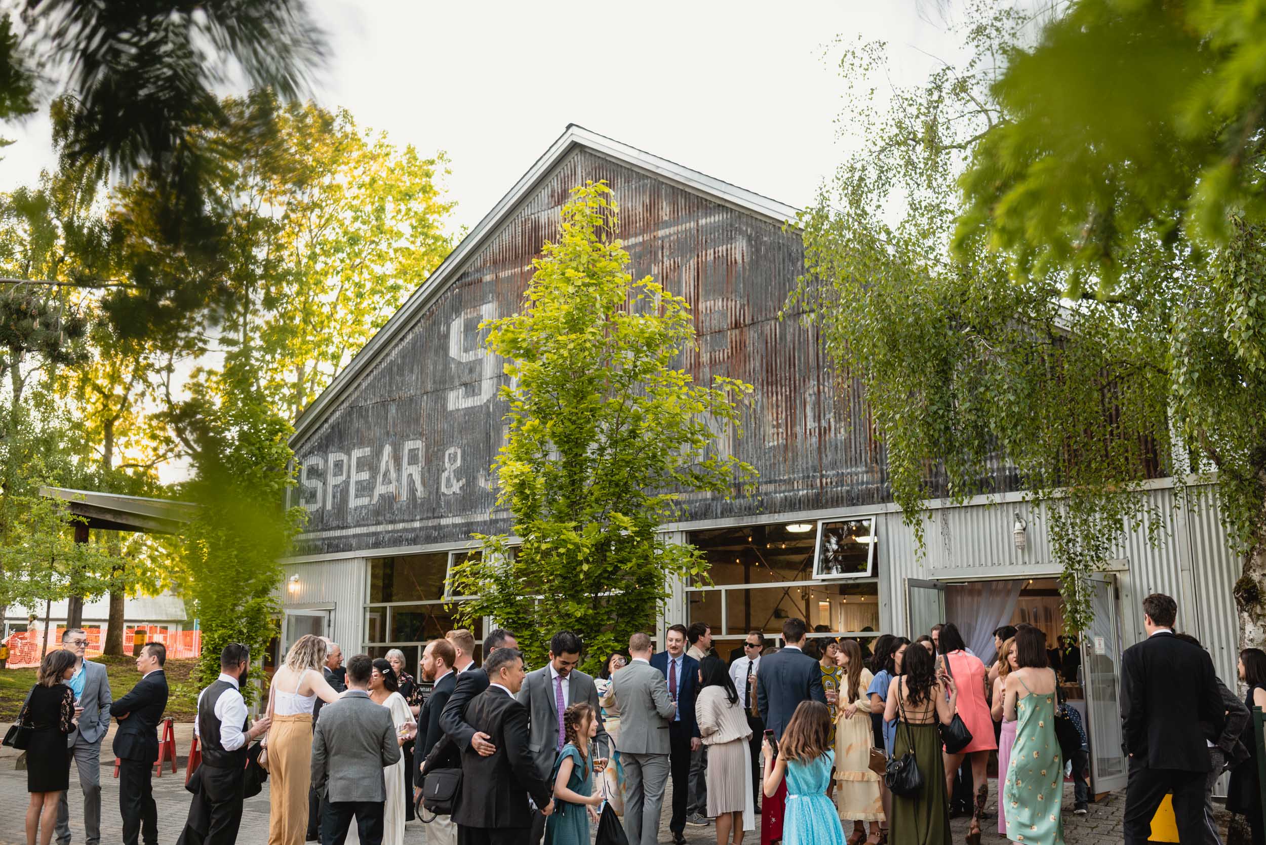 Wedding guests during reception