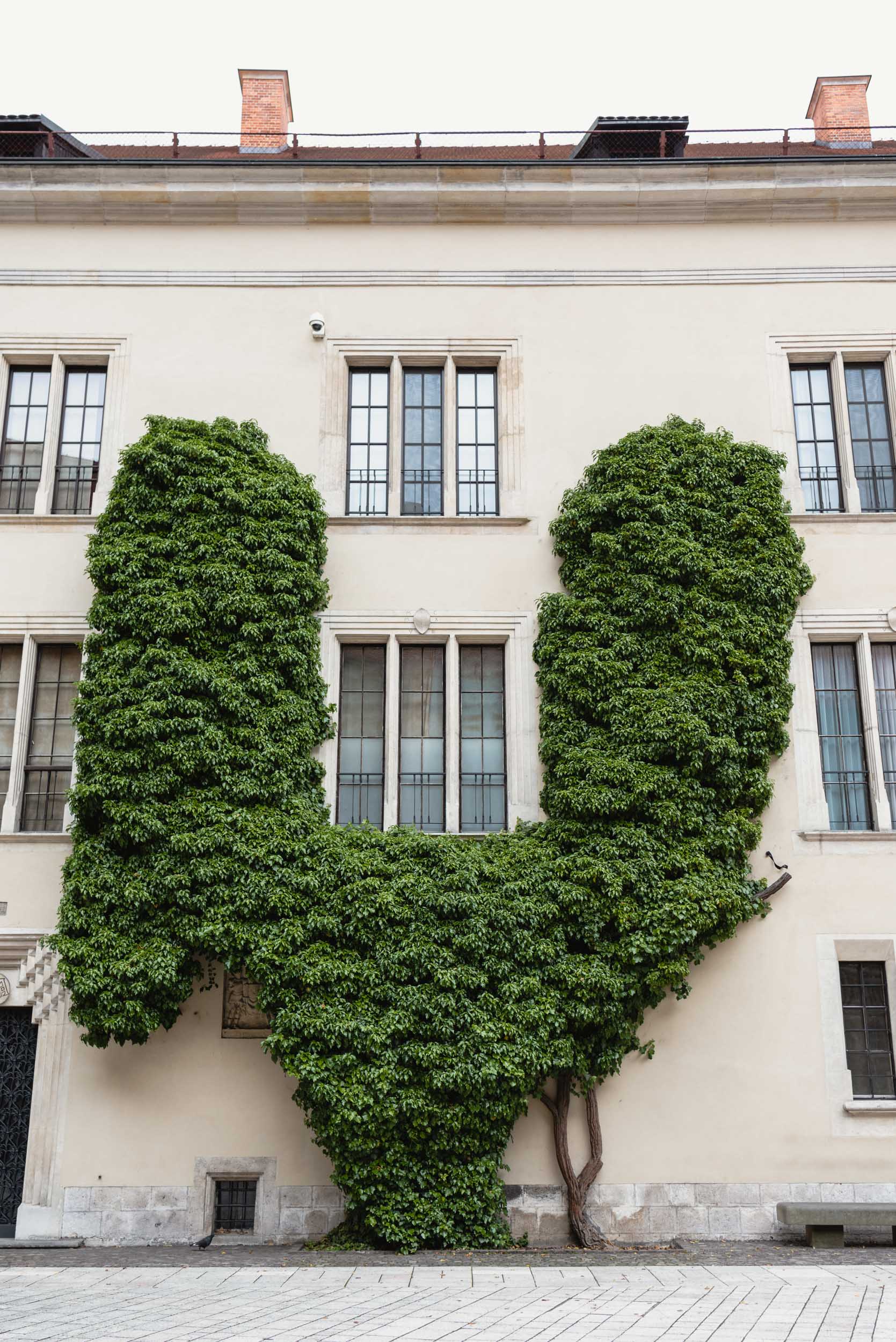 Hedges growing in Wawel Royal Castle