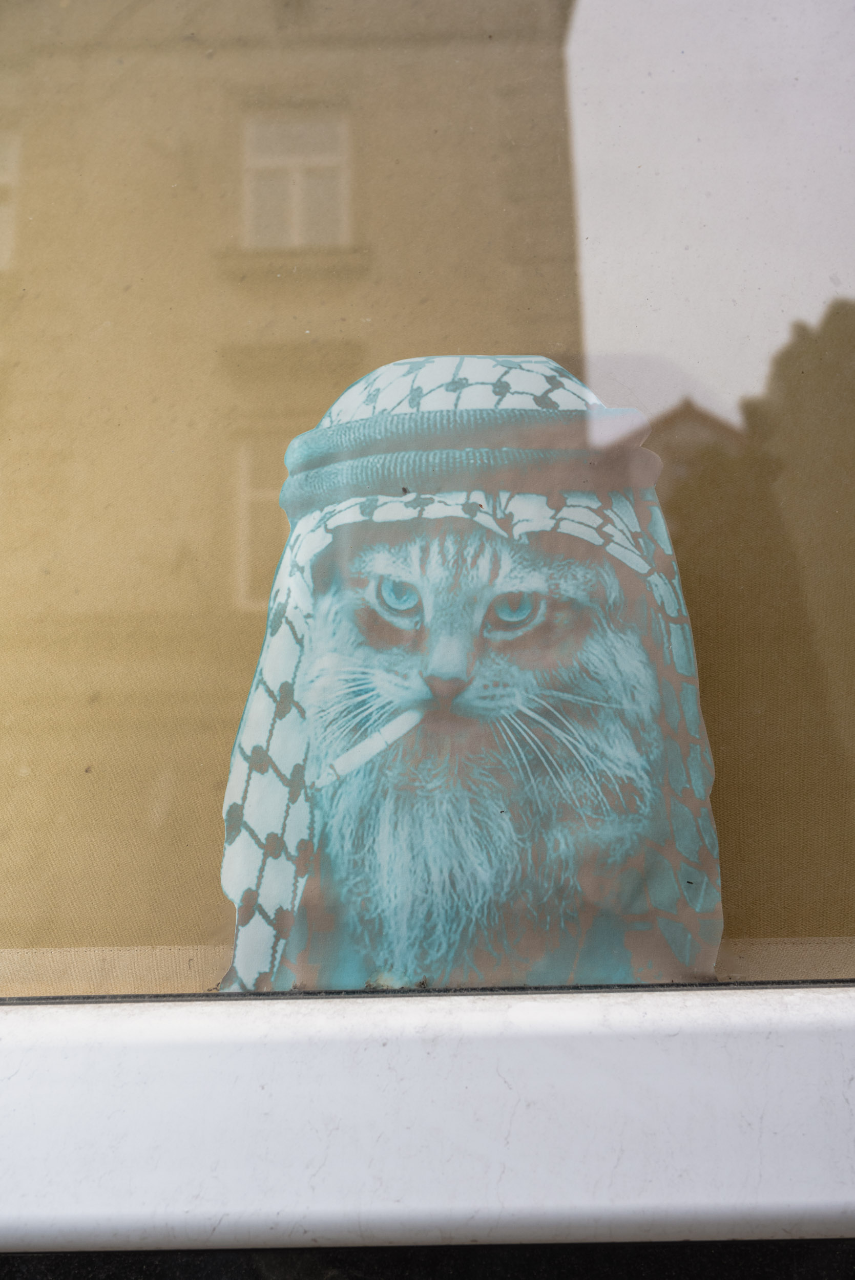 Rastafarian cat sticker in window
