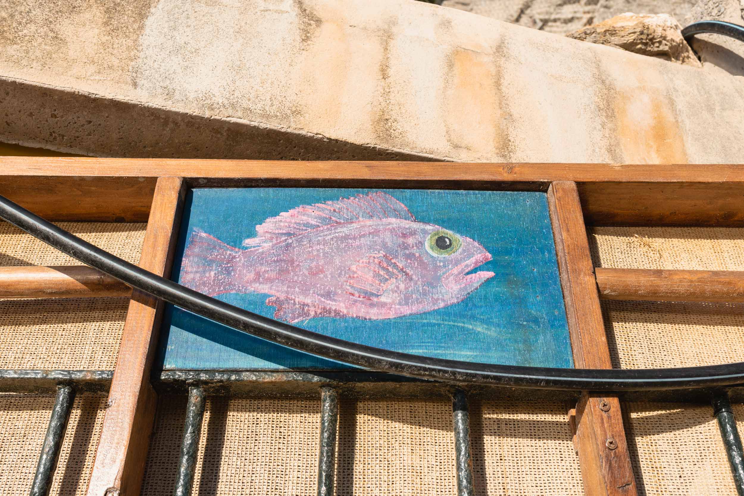 Fish painting on wall in Banyalbufar, Spain