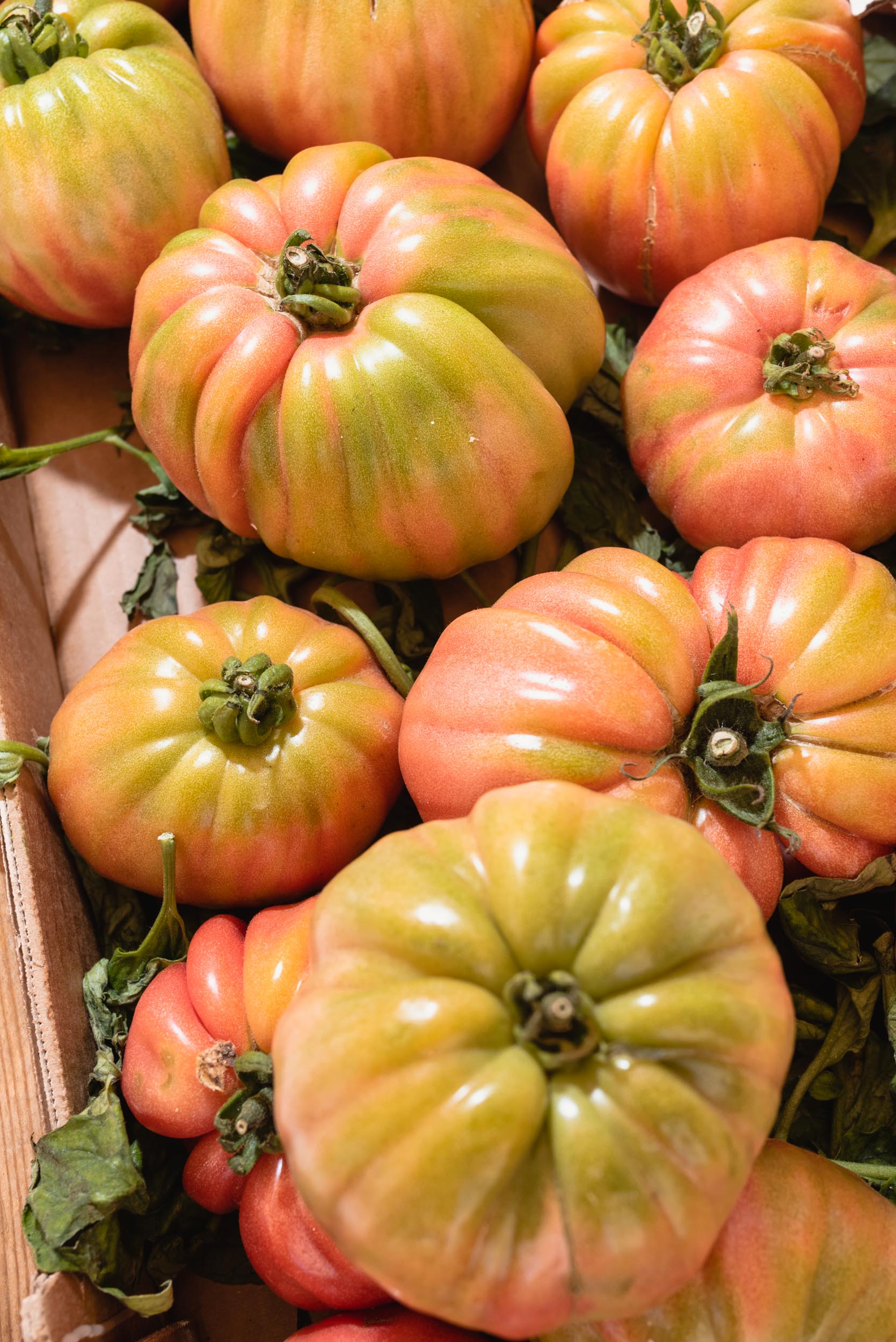 Fresh tomatoes for sale Sineu, Spain