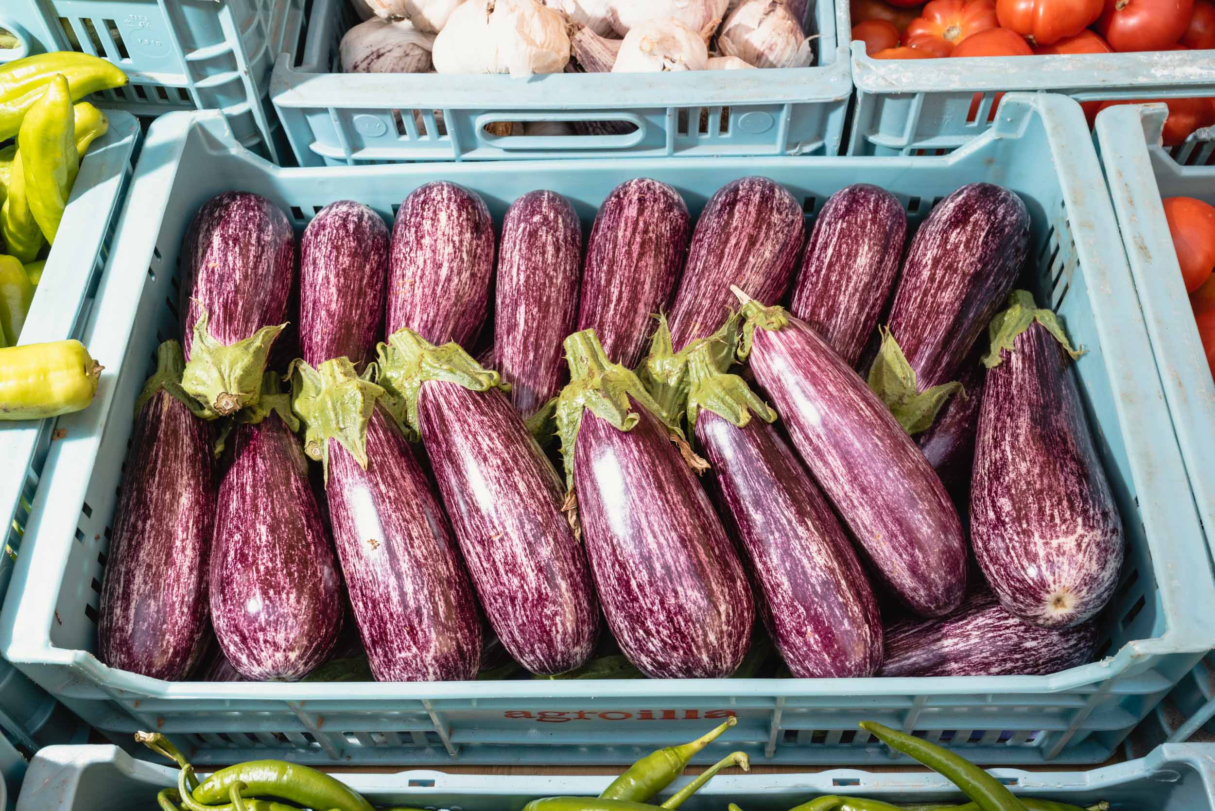 Purple eggplants for sale in Sineu, Spain