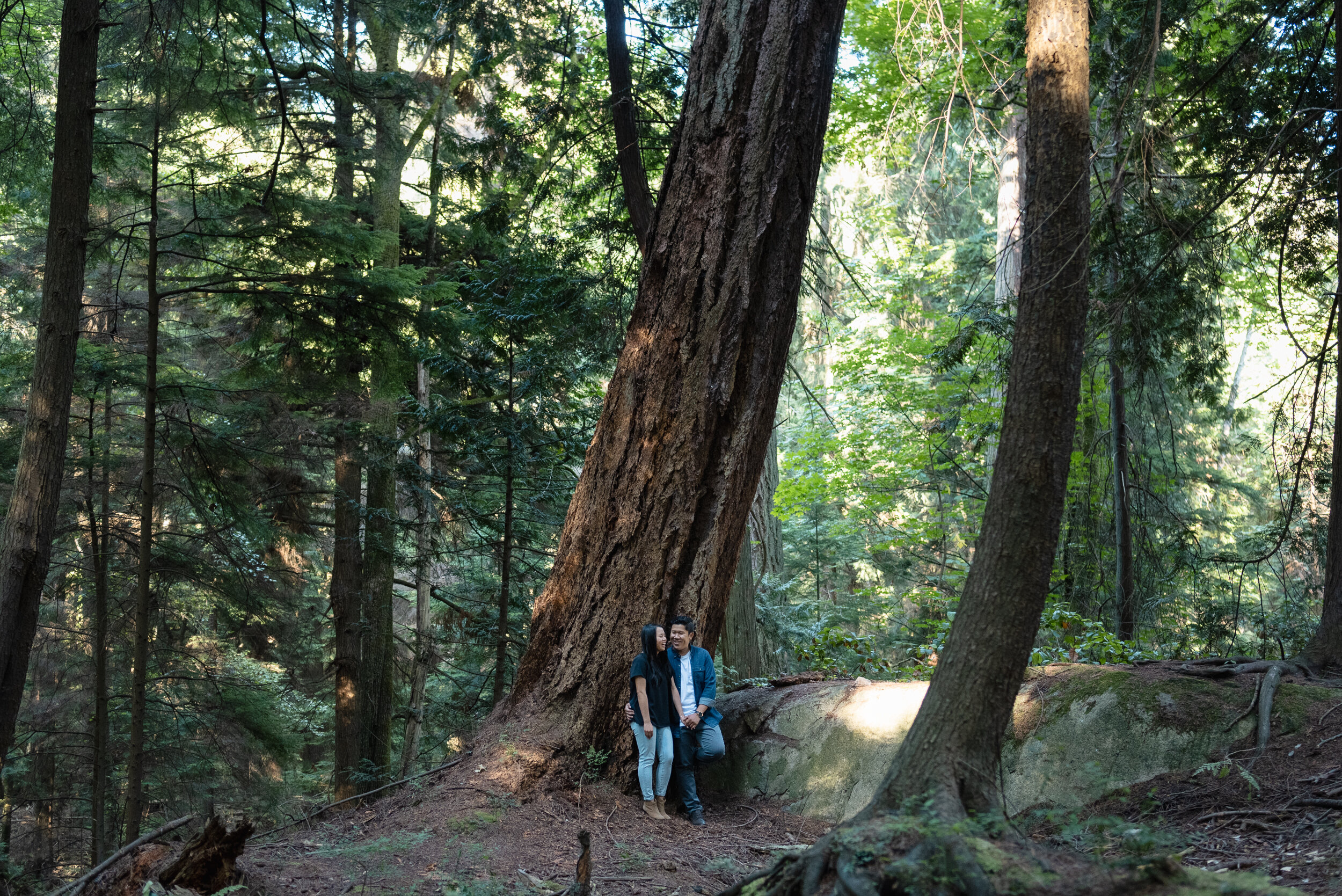 Couple standing next to old growth douglas fir