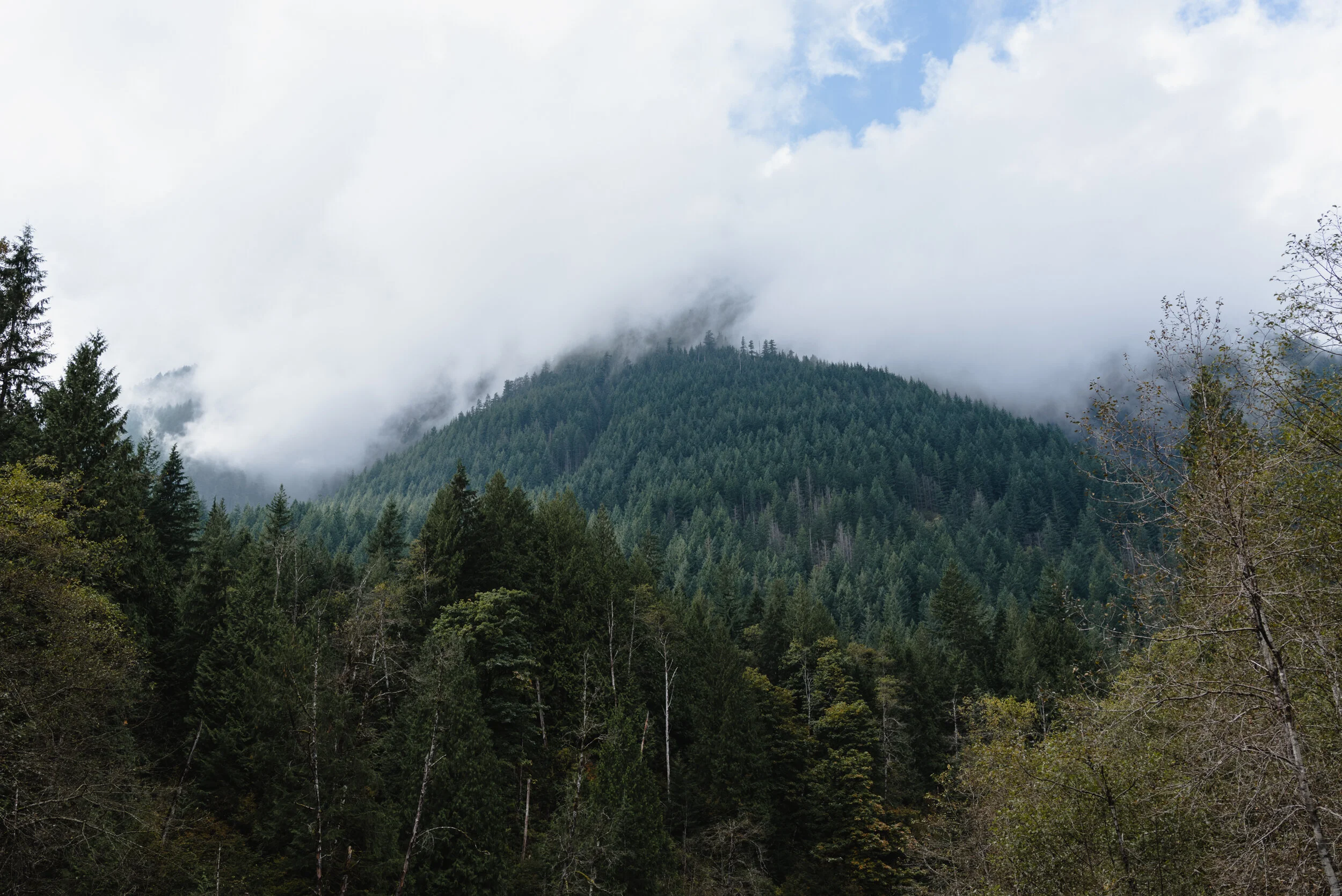 Mountain landscape