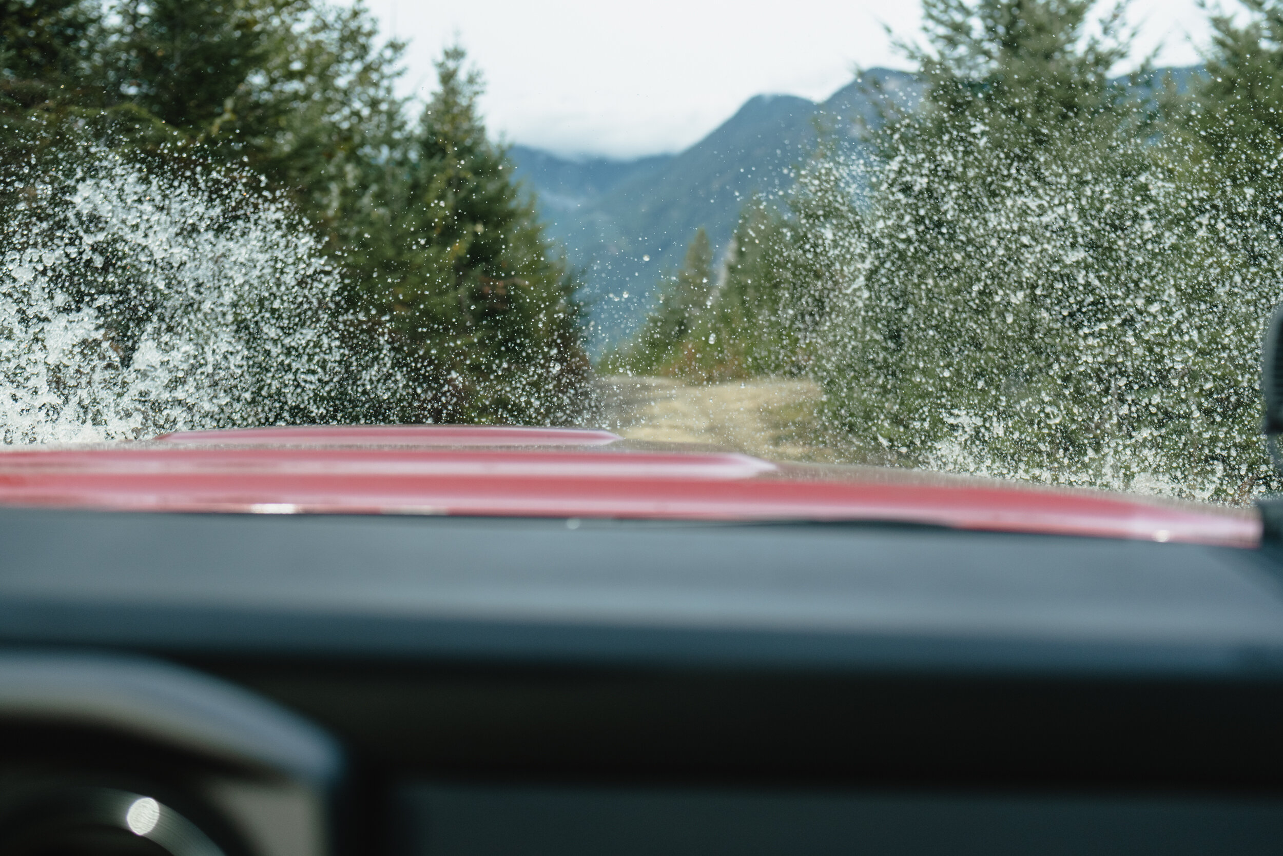 Splashing through puddles on logging road