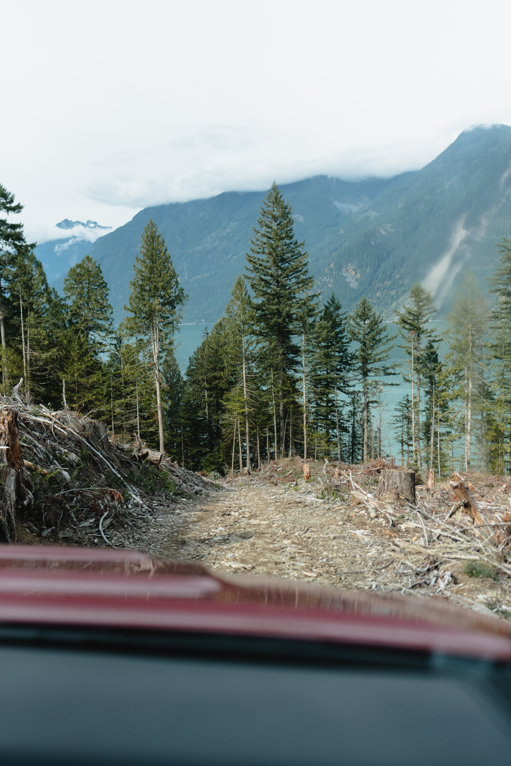 Driving down logging road