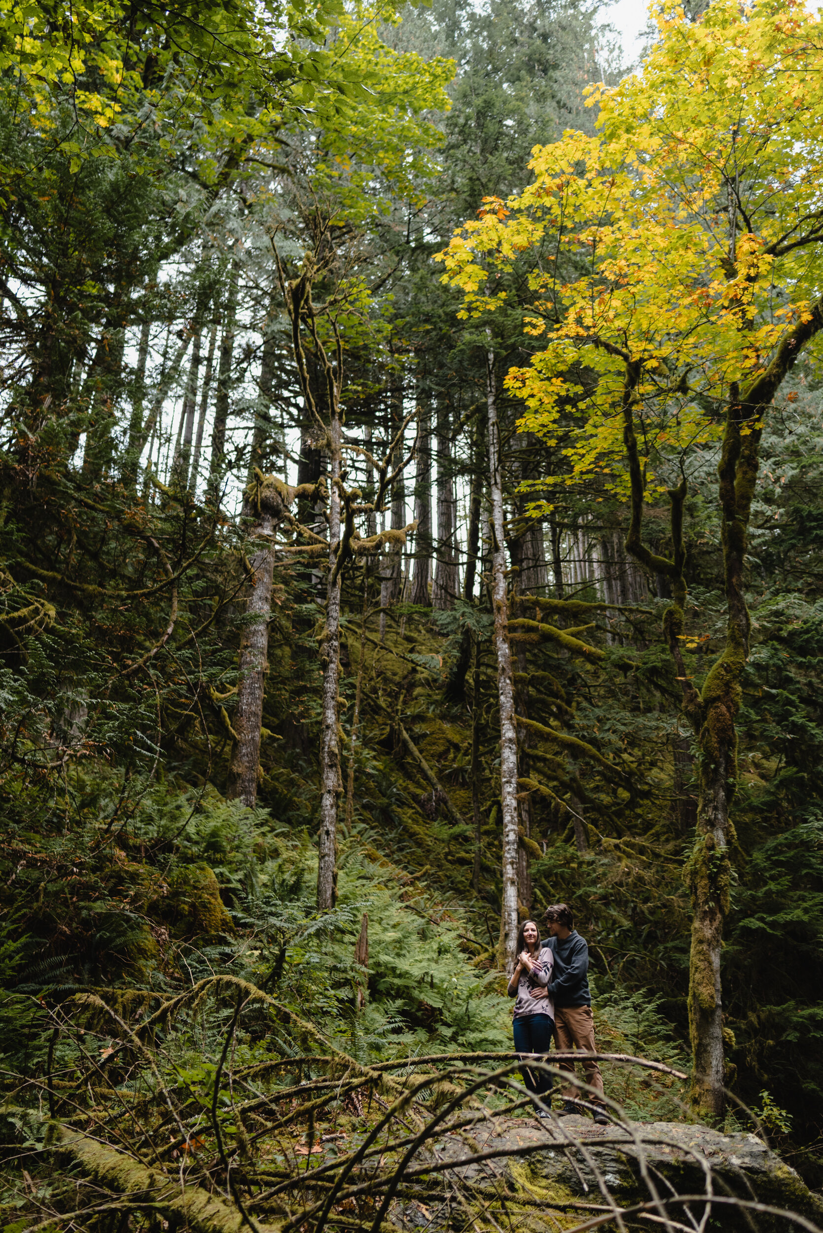 Couple embracing in forest scene