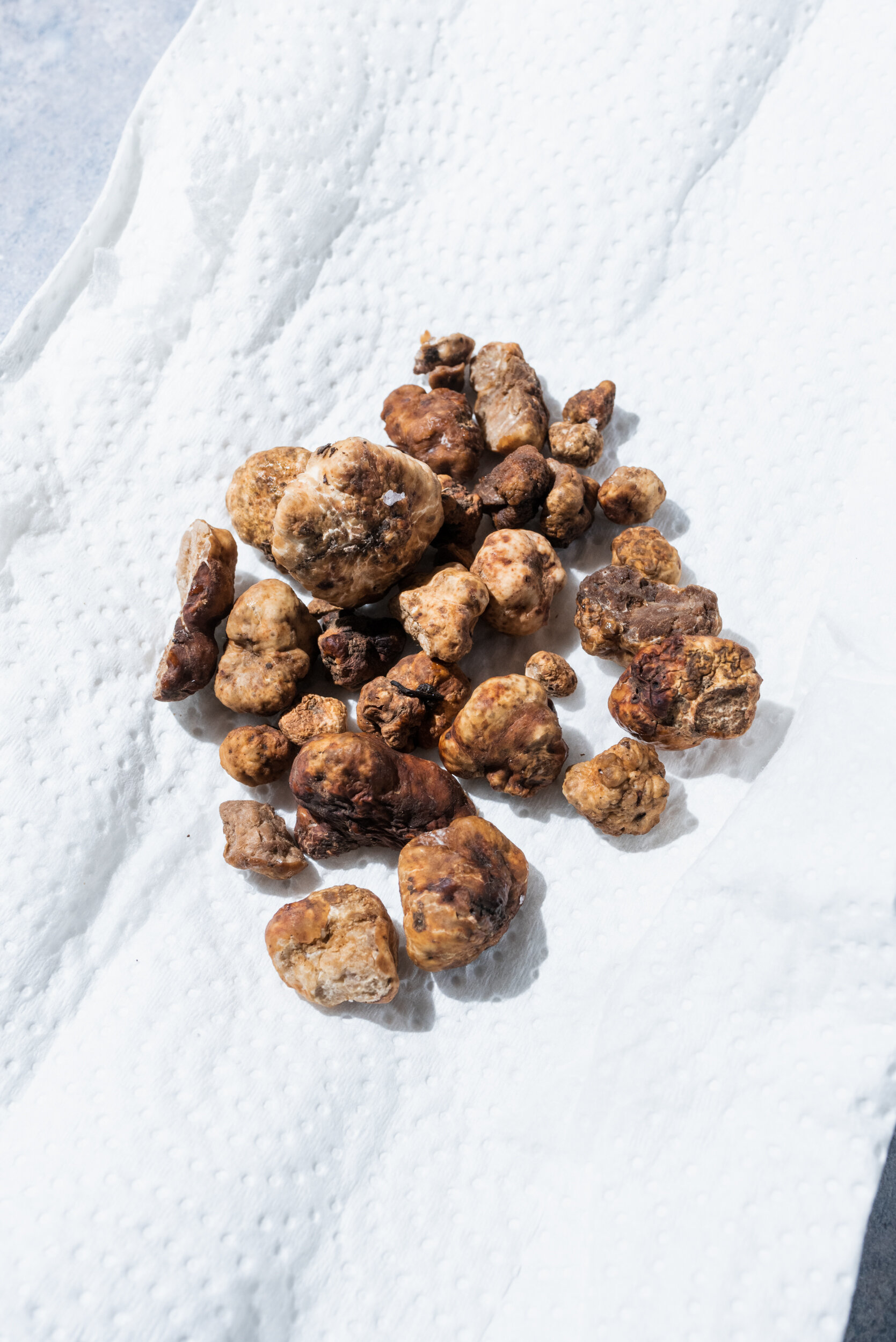 Fresh truffles on white paper towel