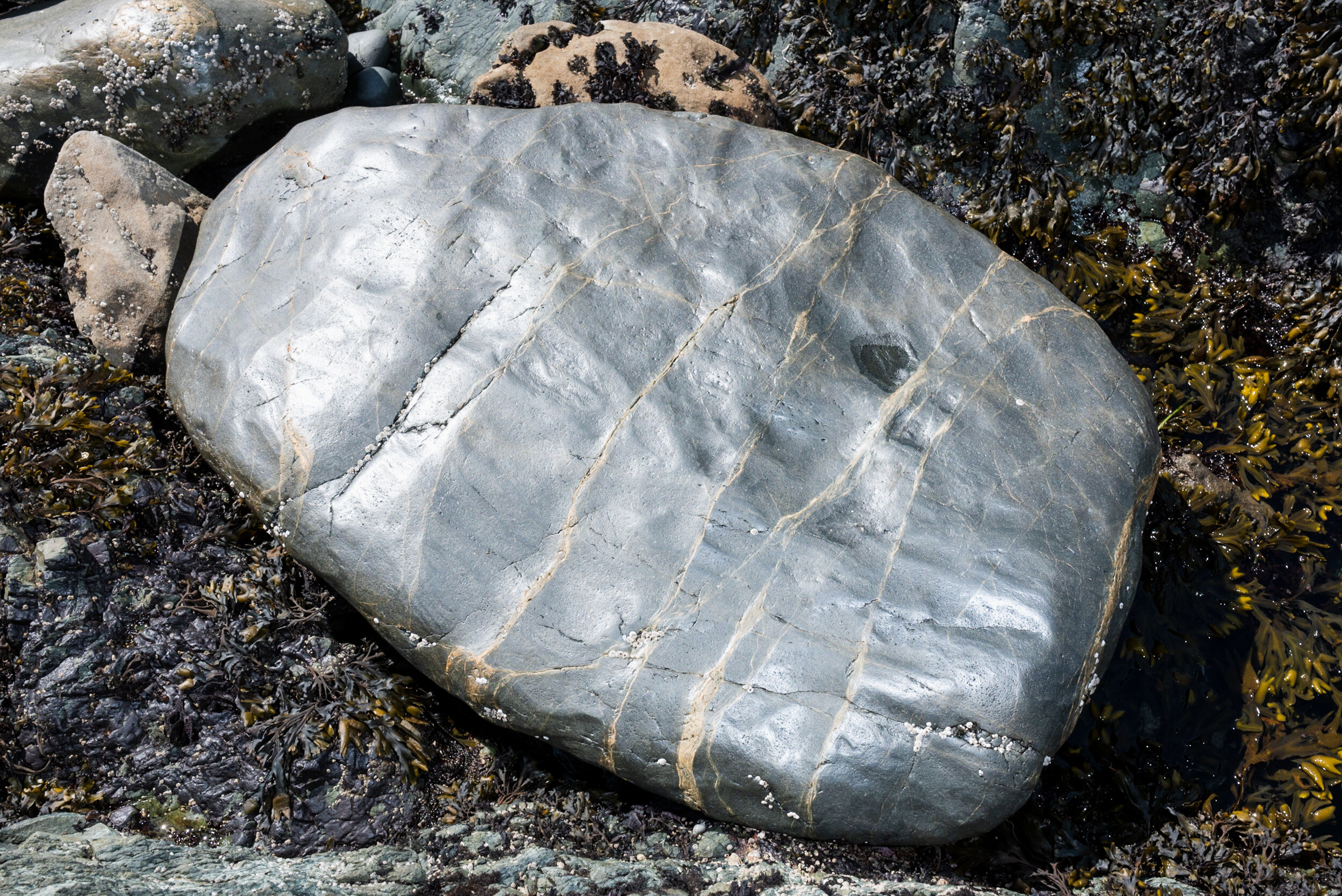 Sombrio Beach shiny rock