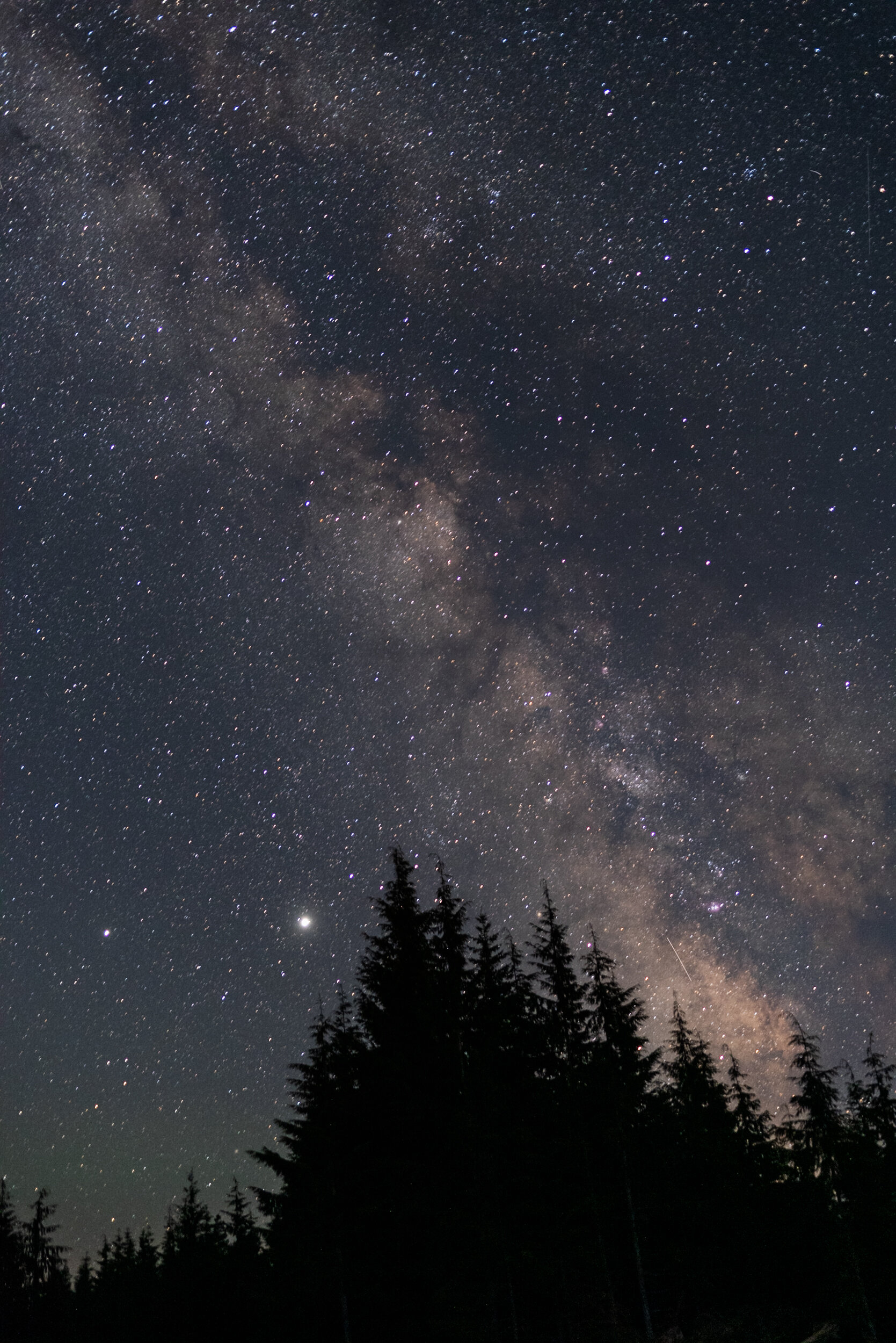 Milky way Nitnat Lake