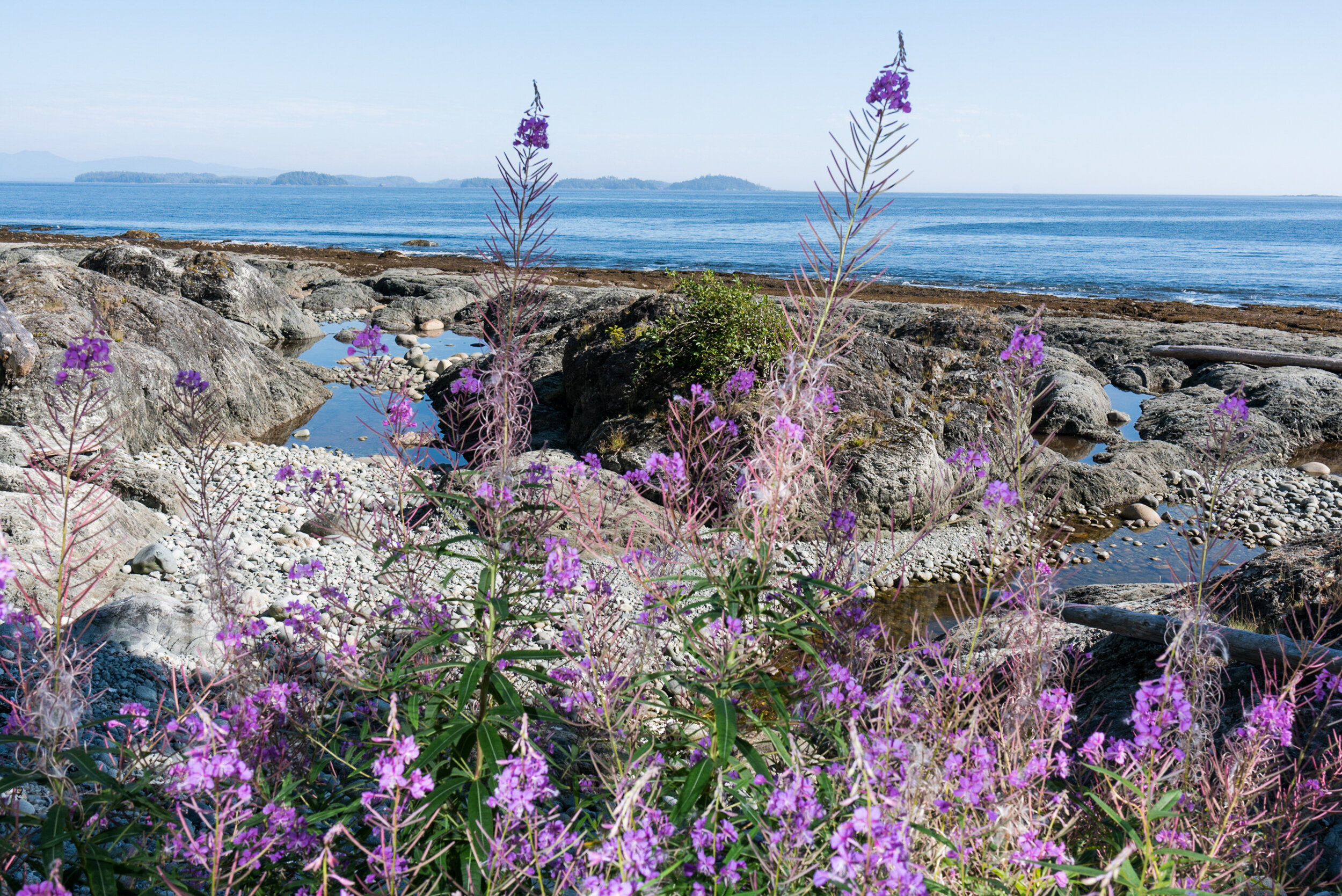 Shoreline Ucluelet