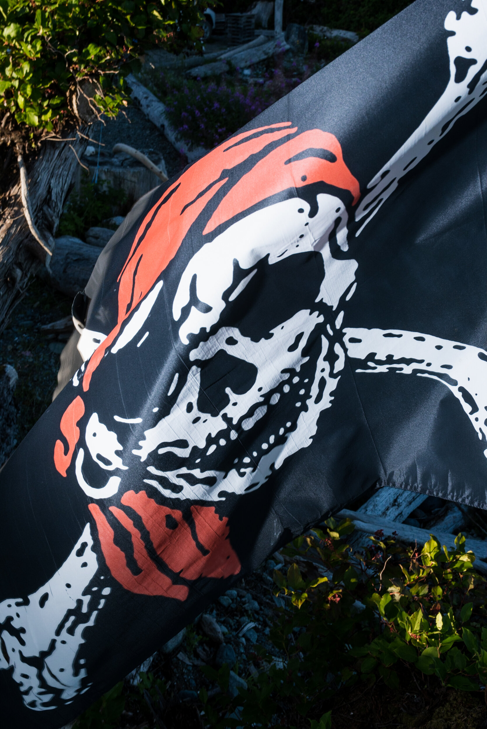 Pirate flag