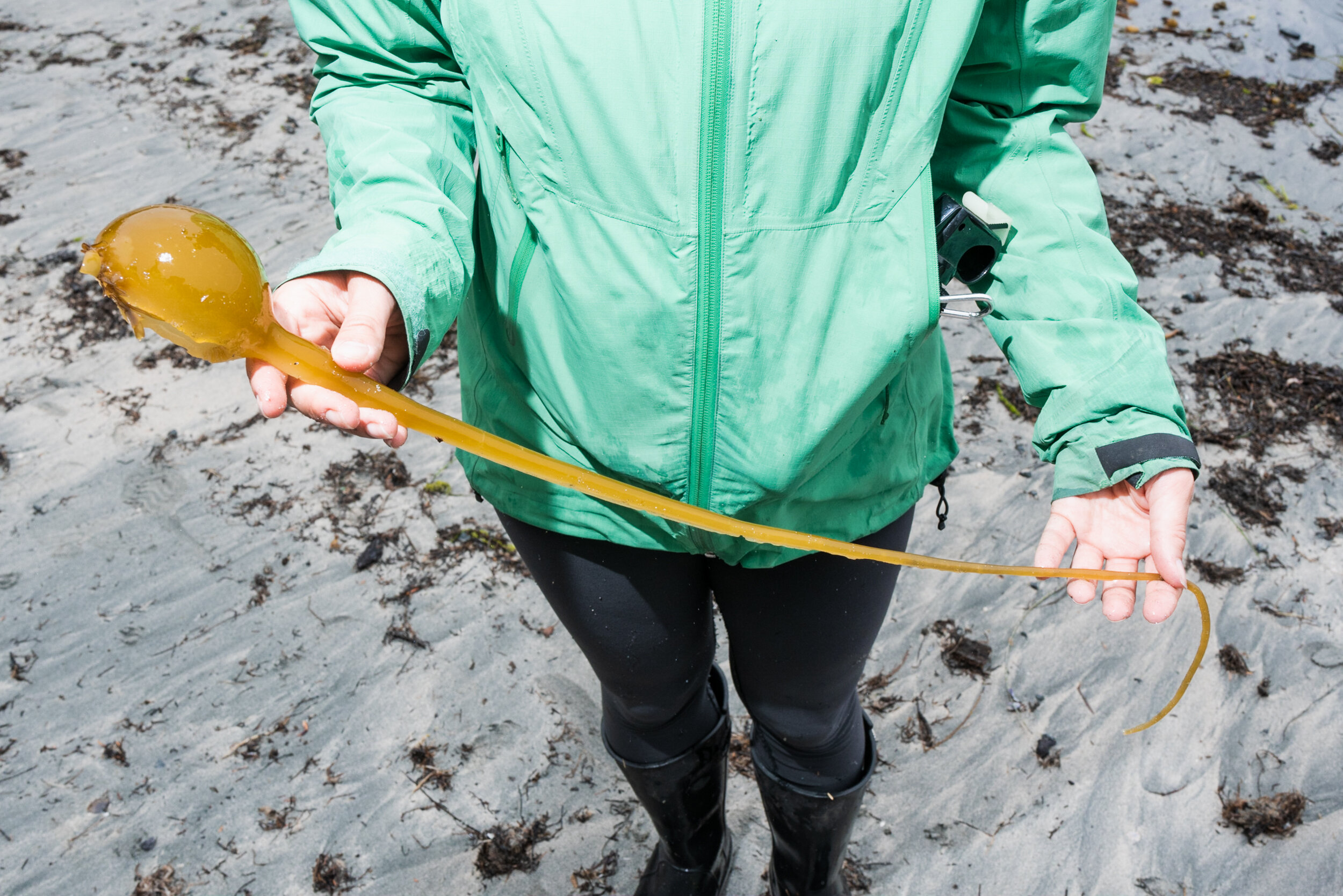 Kelp in hands green jacket