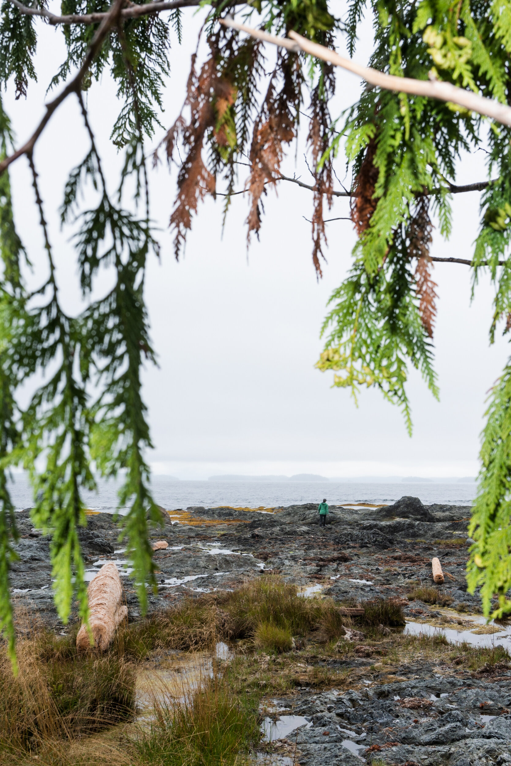 Shoreline Ucluelet