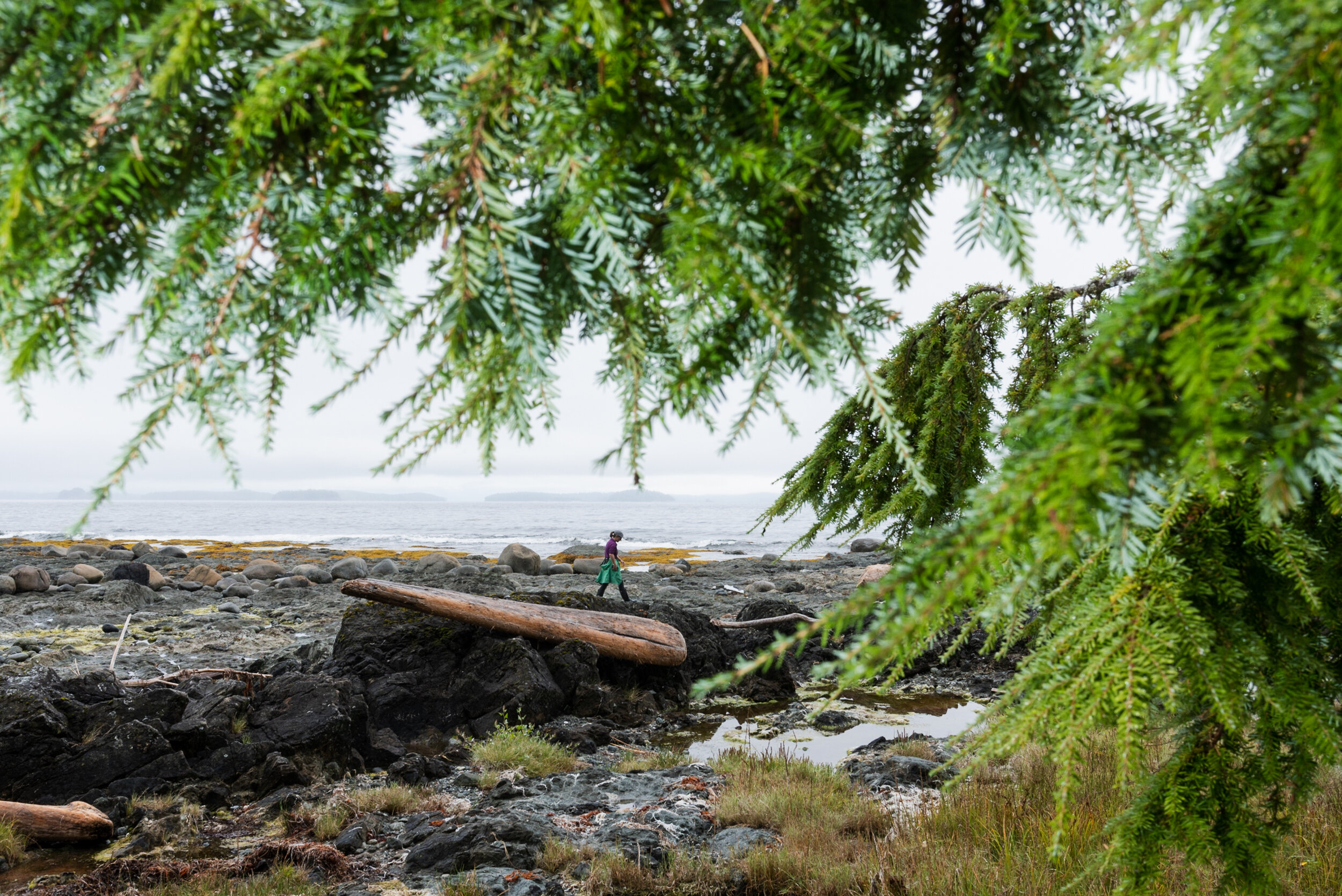 Shoreline Ucluelet