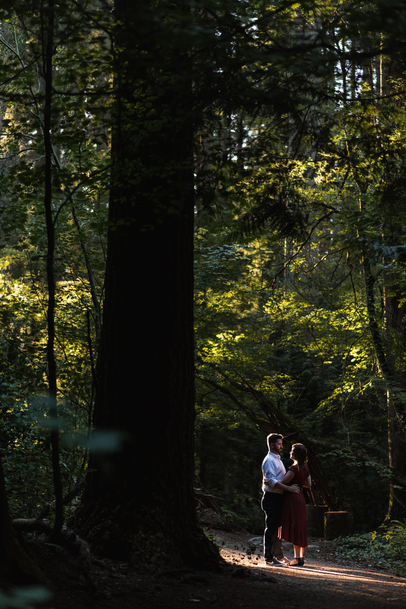 Couple standing in forest lit by sunset