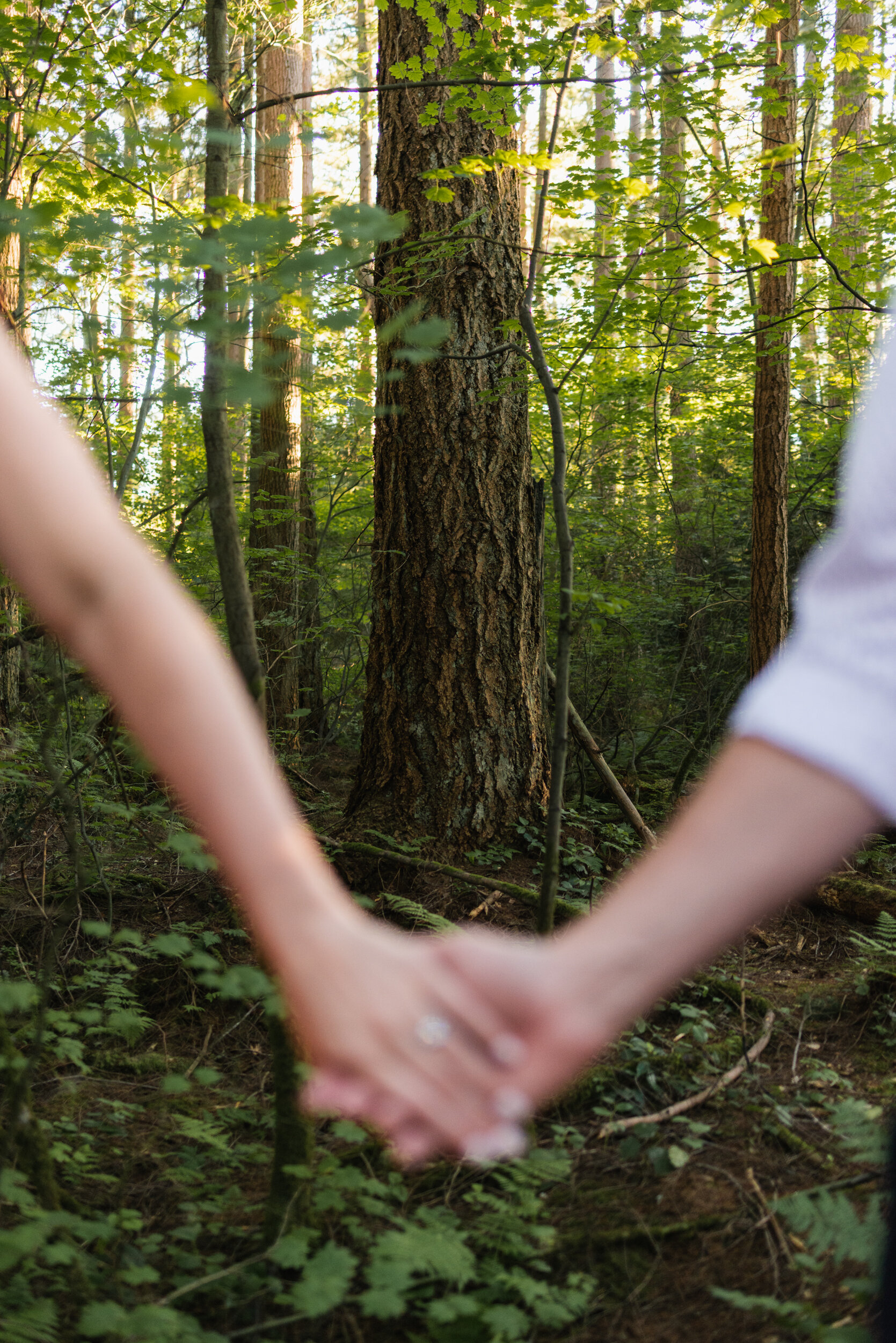 Holding hands with tree behind