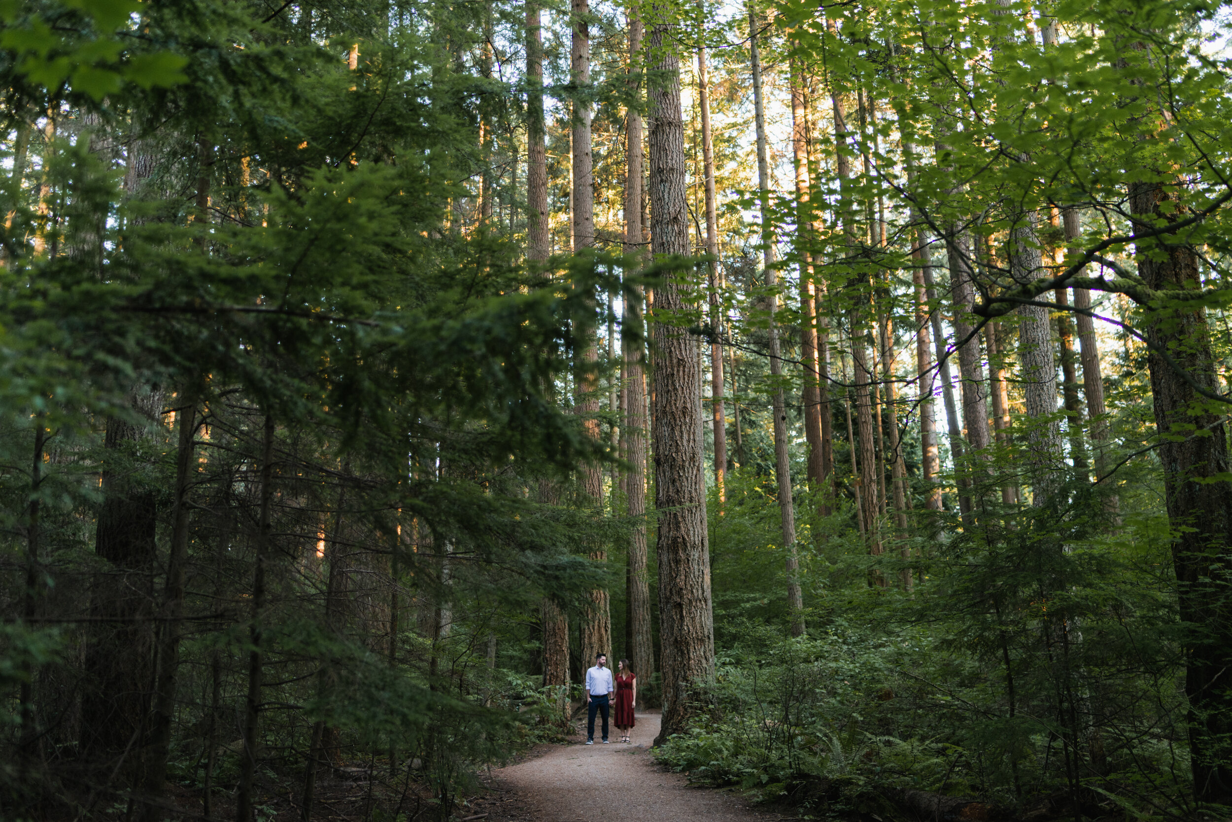 Couple standing in tall trees