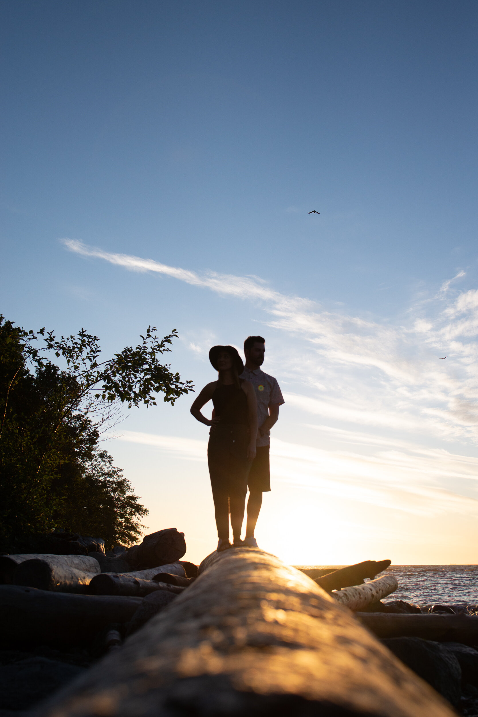 Backlit silhouette couple on log Acadia Beach