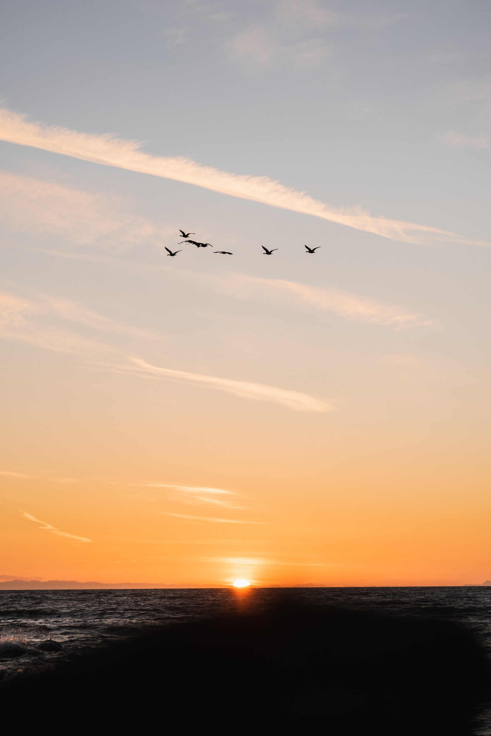 Birds flying through sunset at Acadia Beach