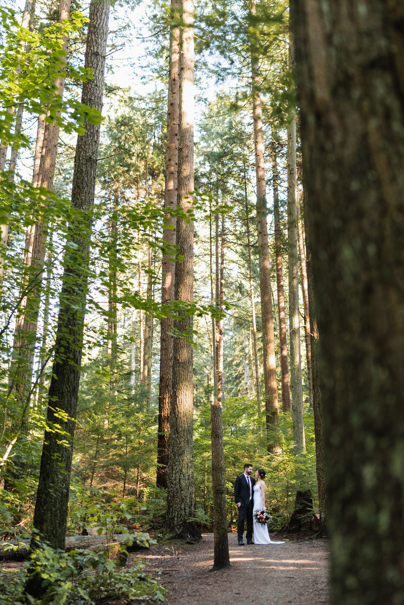Couple stands in forest tall trees