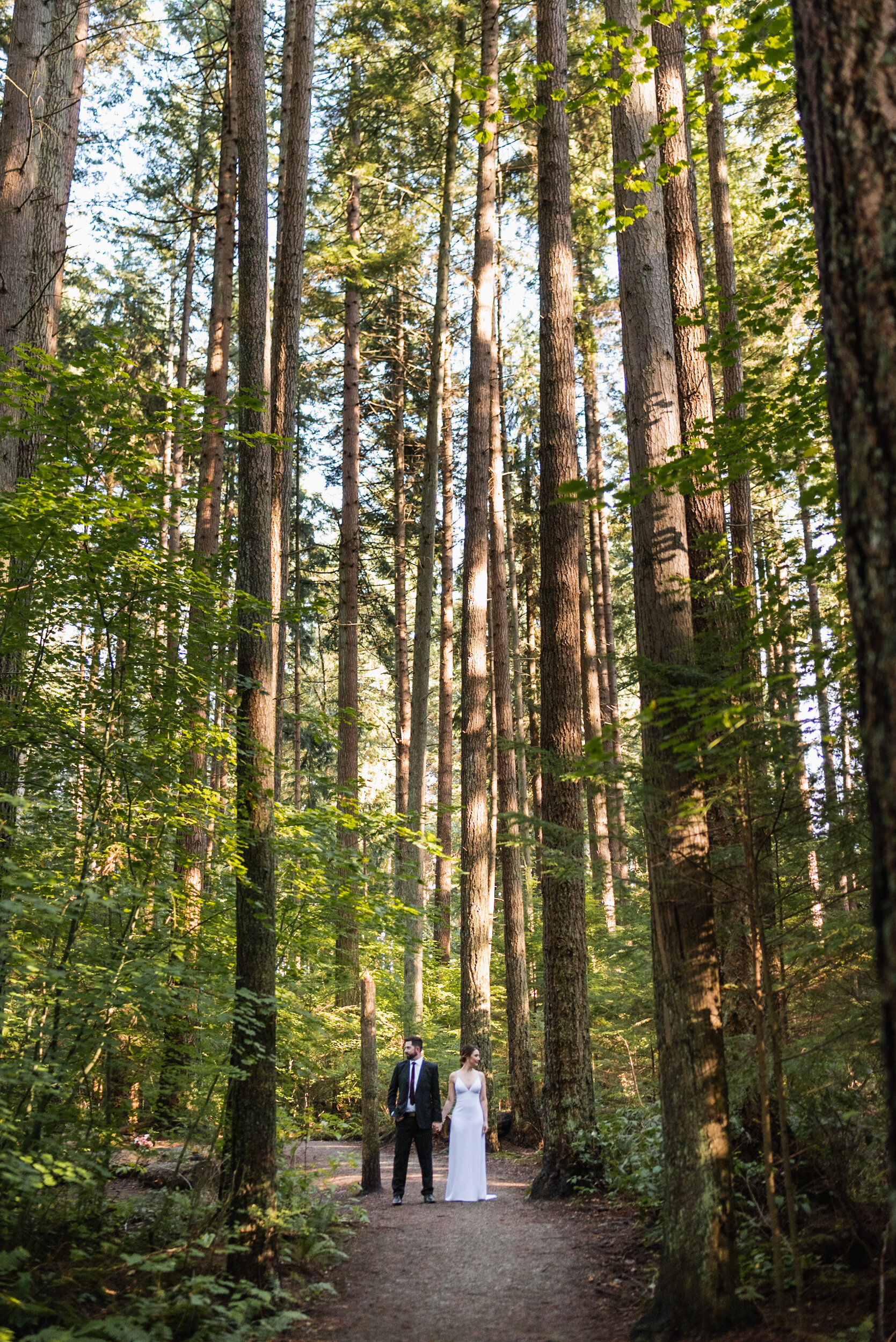 Couple stands in forest tall trees