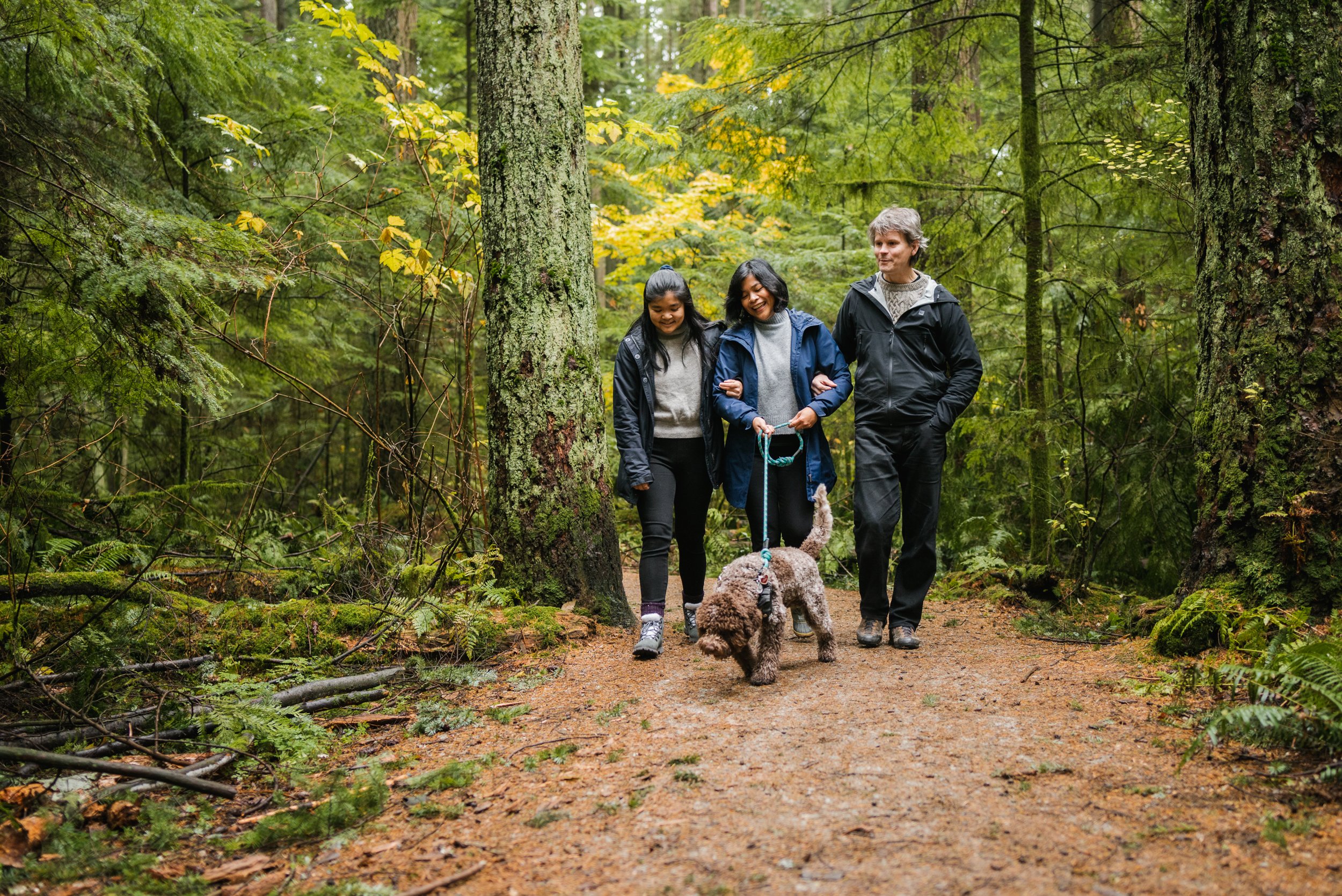 Family walking dog on forest path