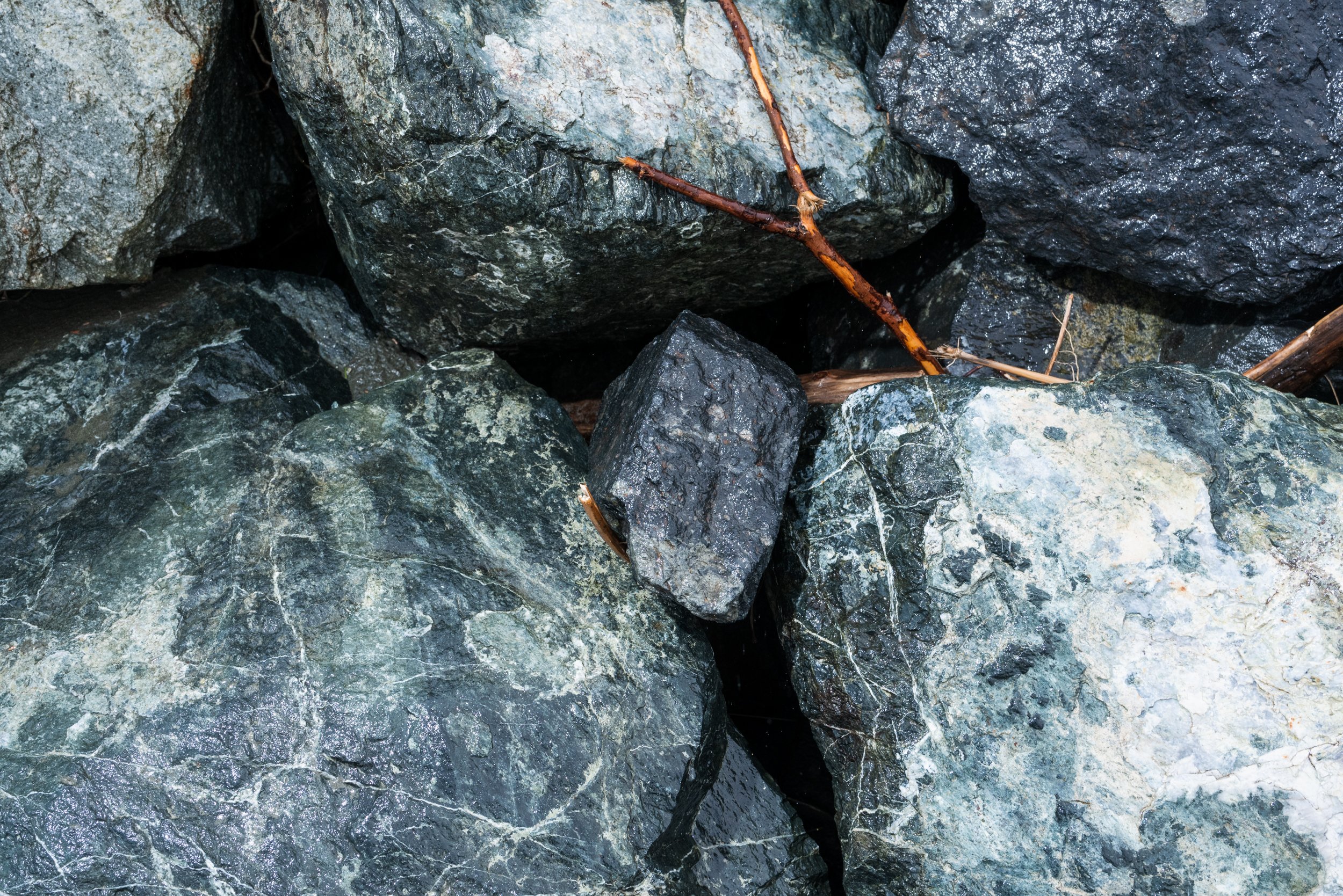 Beach rocks with stick